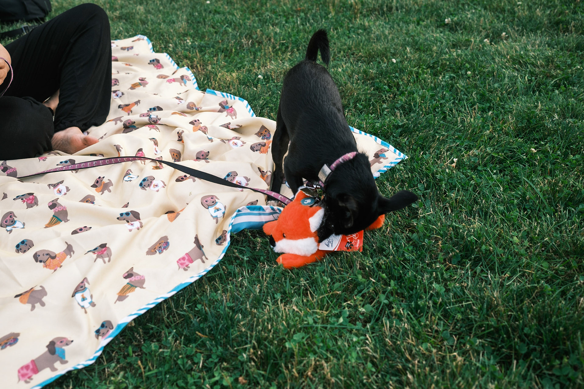 Mika's Fourth Birthday, 2023