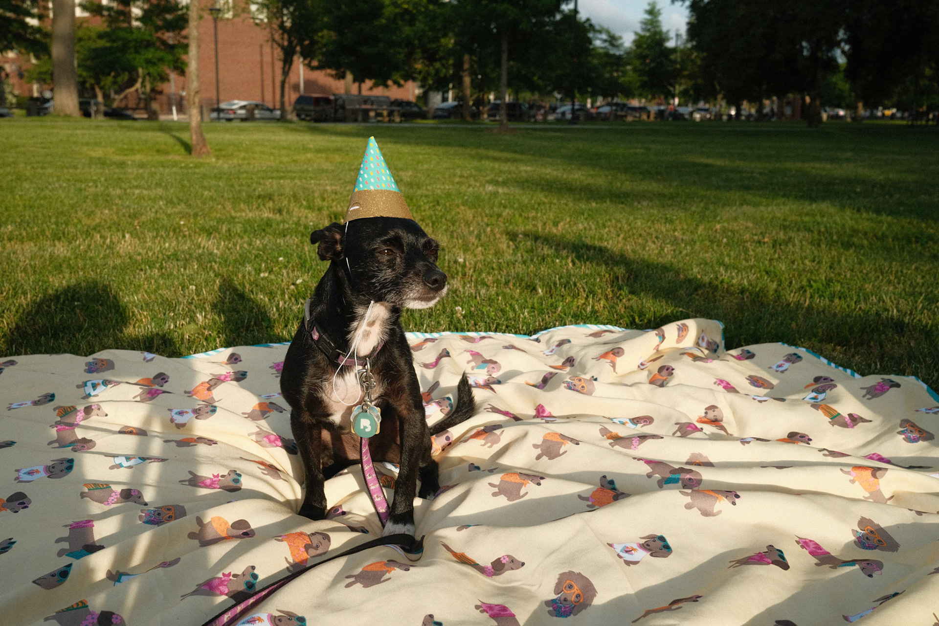 Mika's Fourth Birthday, 2023