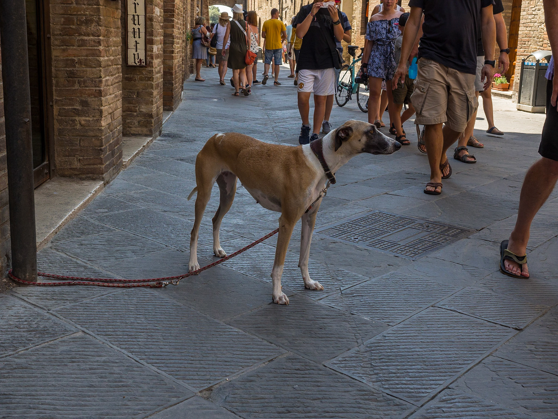 San Gimignano