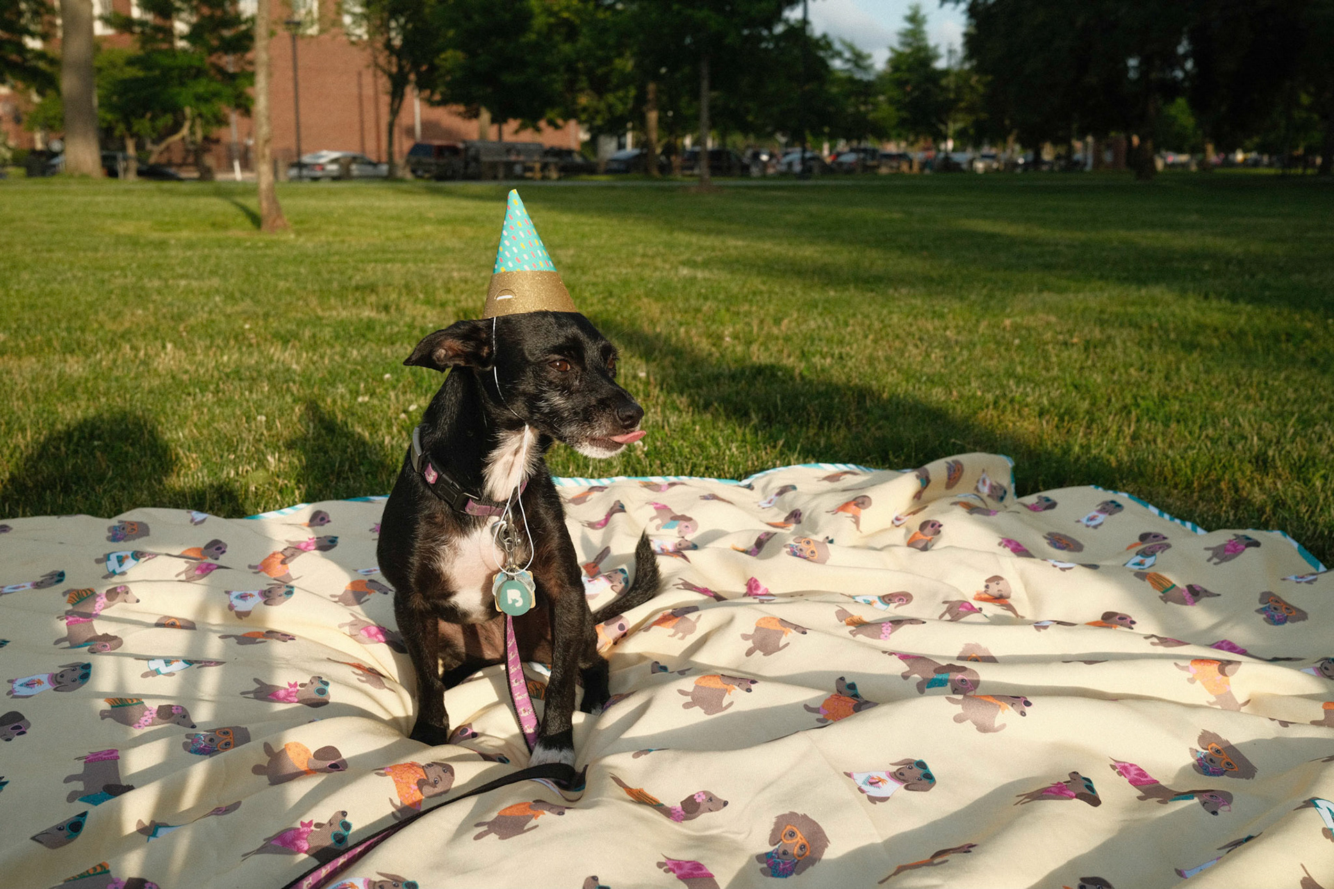 Mika's Fourth Birthday, 2023