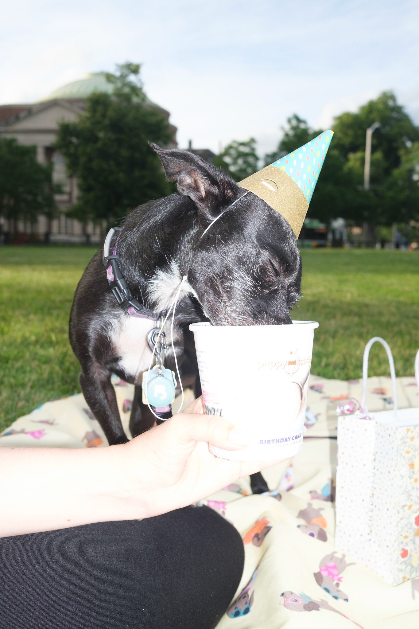 Mika's Fourth Birthday, 2023