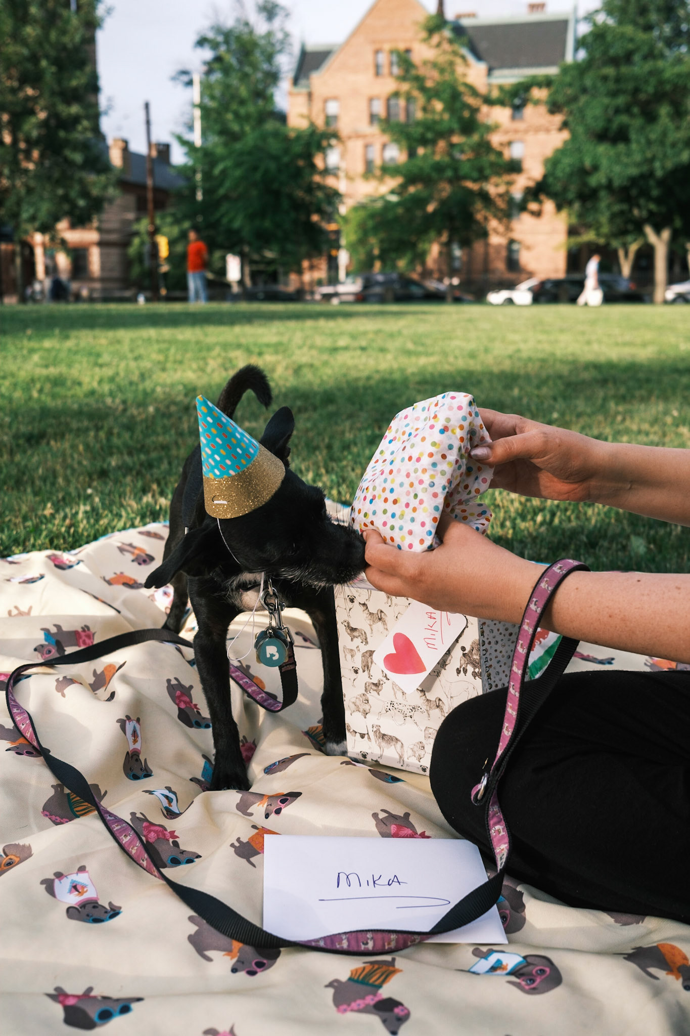 Mika's Fourth Birthday, 2023