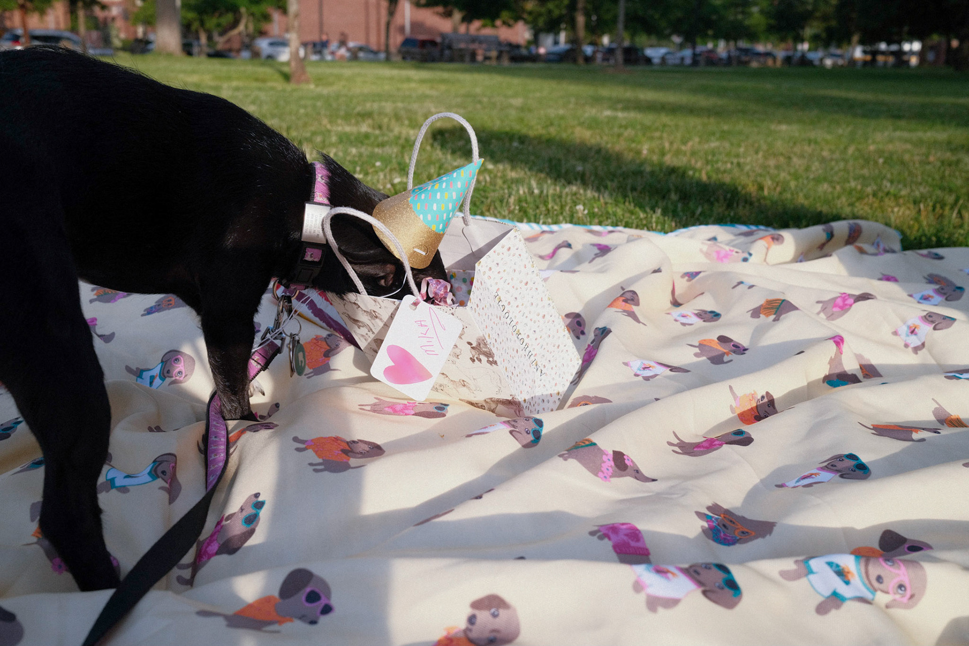 Mika's Fourth Birthday, 2023