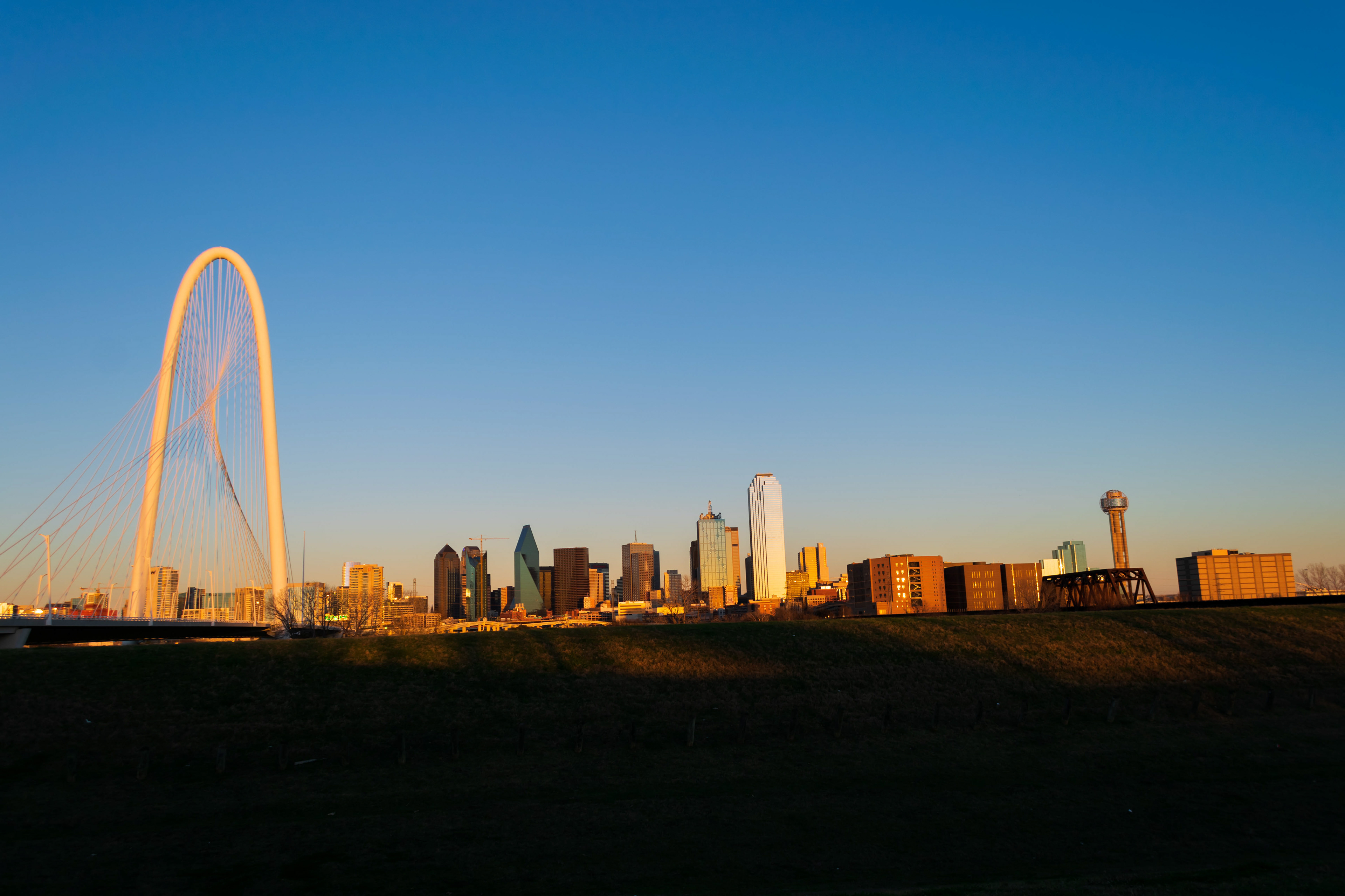 Dallas Skyline