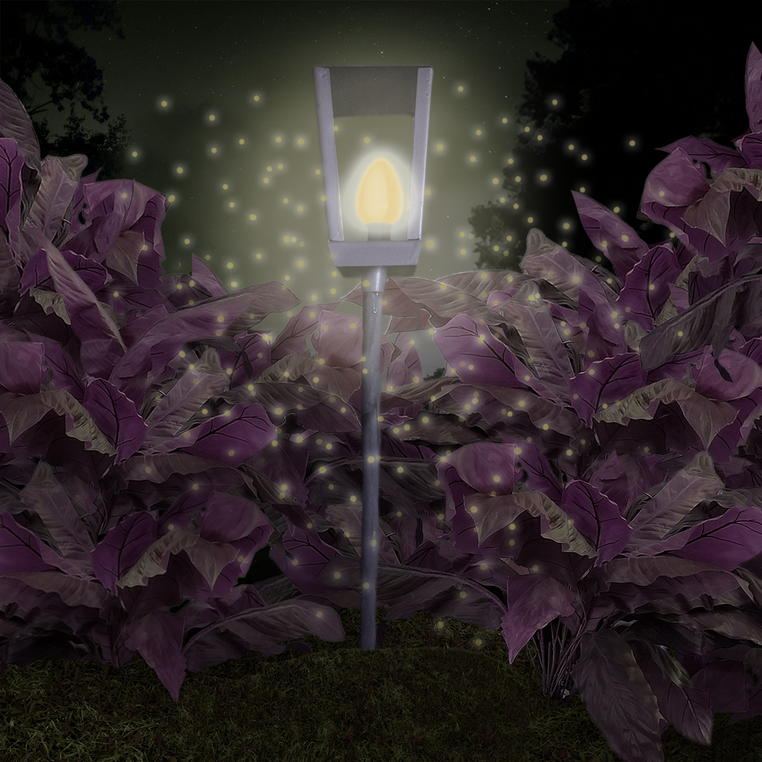 Magic Lantern Variation 2