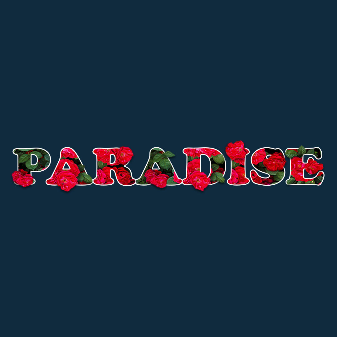 Paradise Typography Font