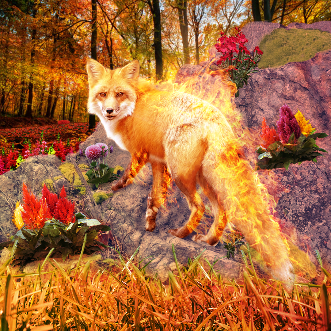 Flame Fox