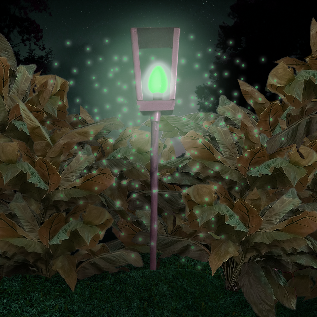 Magic Lantern Variation 3