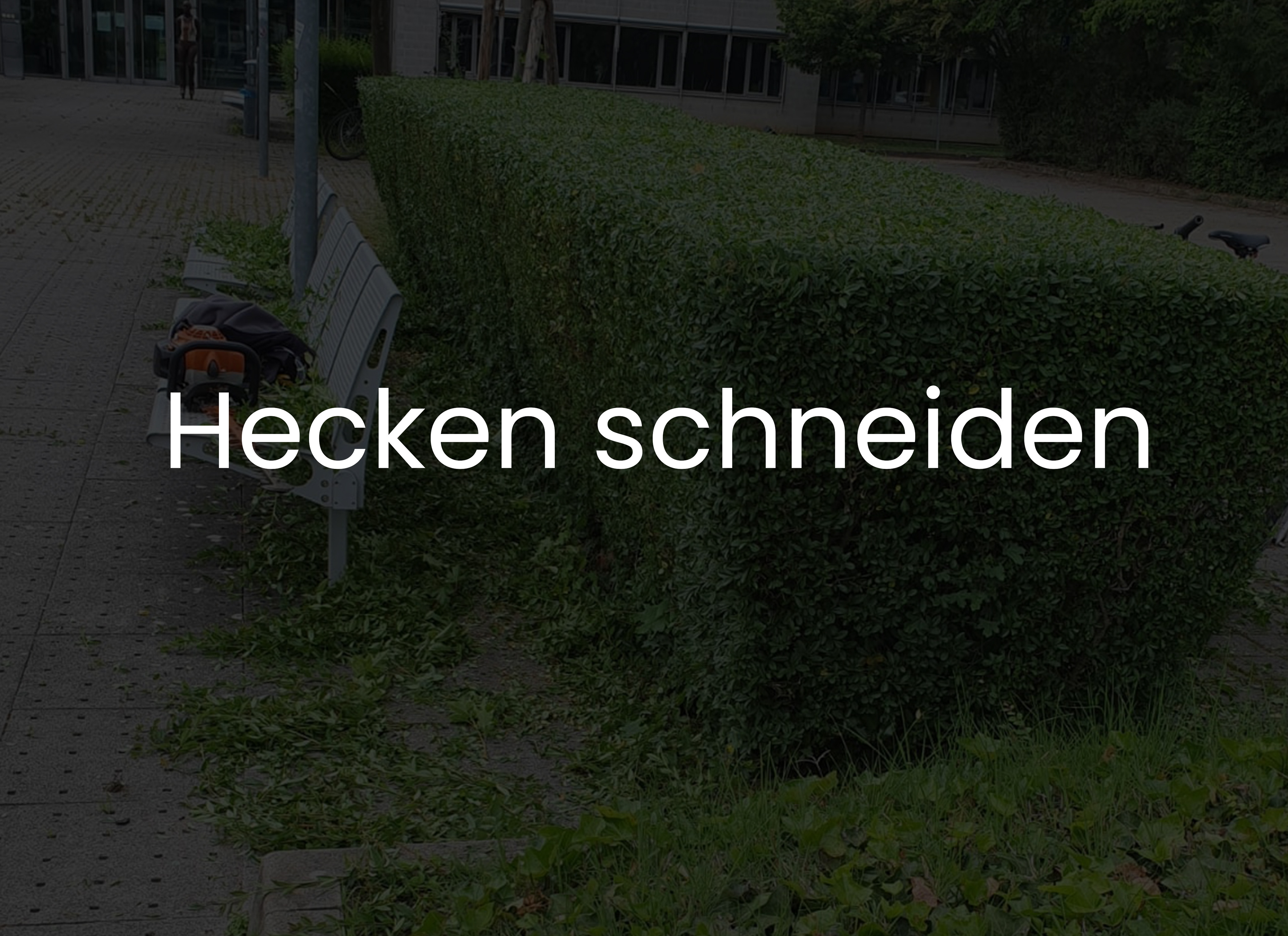 Wir schneiden Ihre Hecken nach Ihren Wünschen, als Formhecke oder als Wildhecke