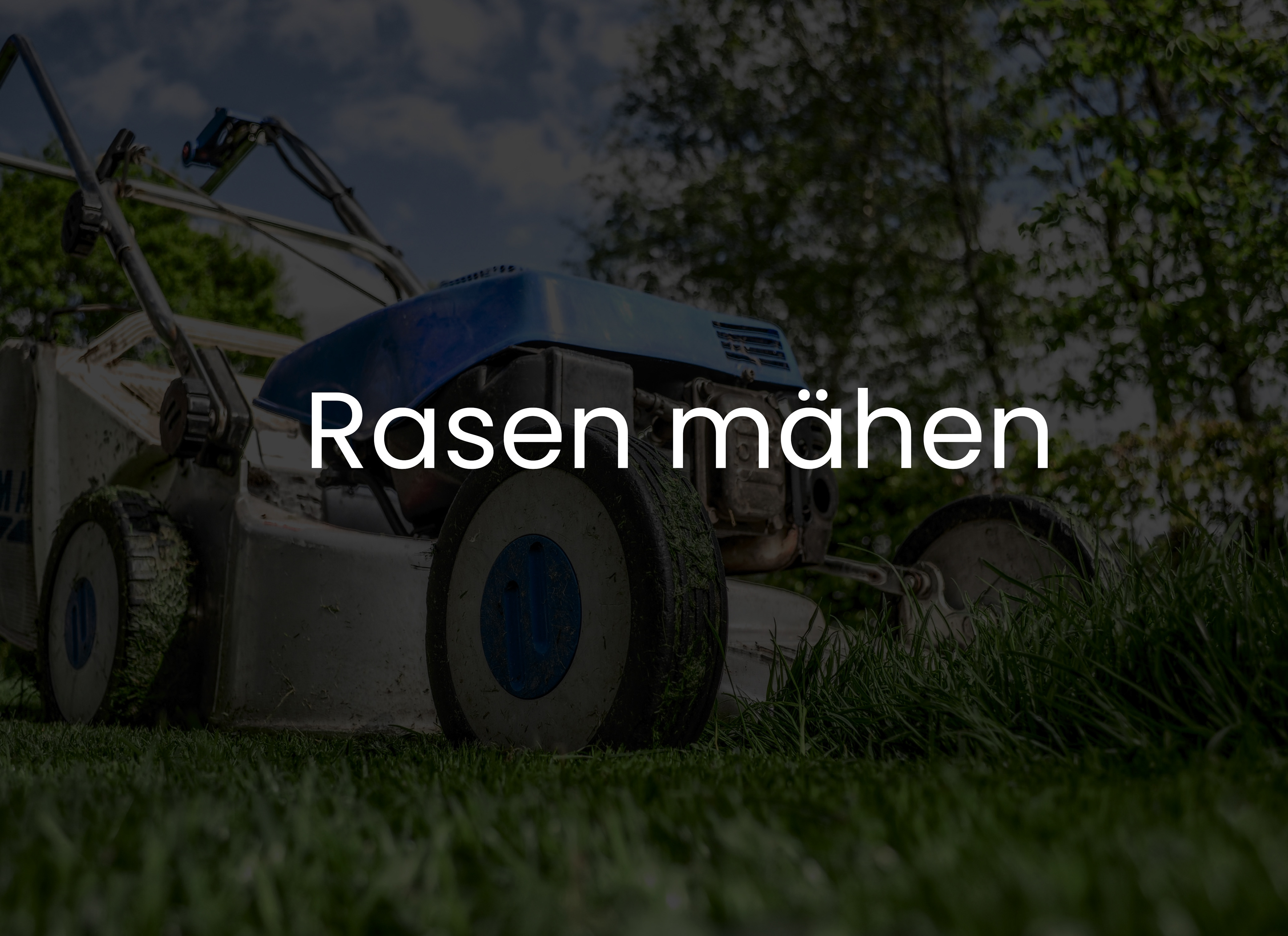 Halten Sie Ihren Rasen in Topform, ohne einen Finger zu rühren