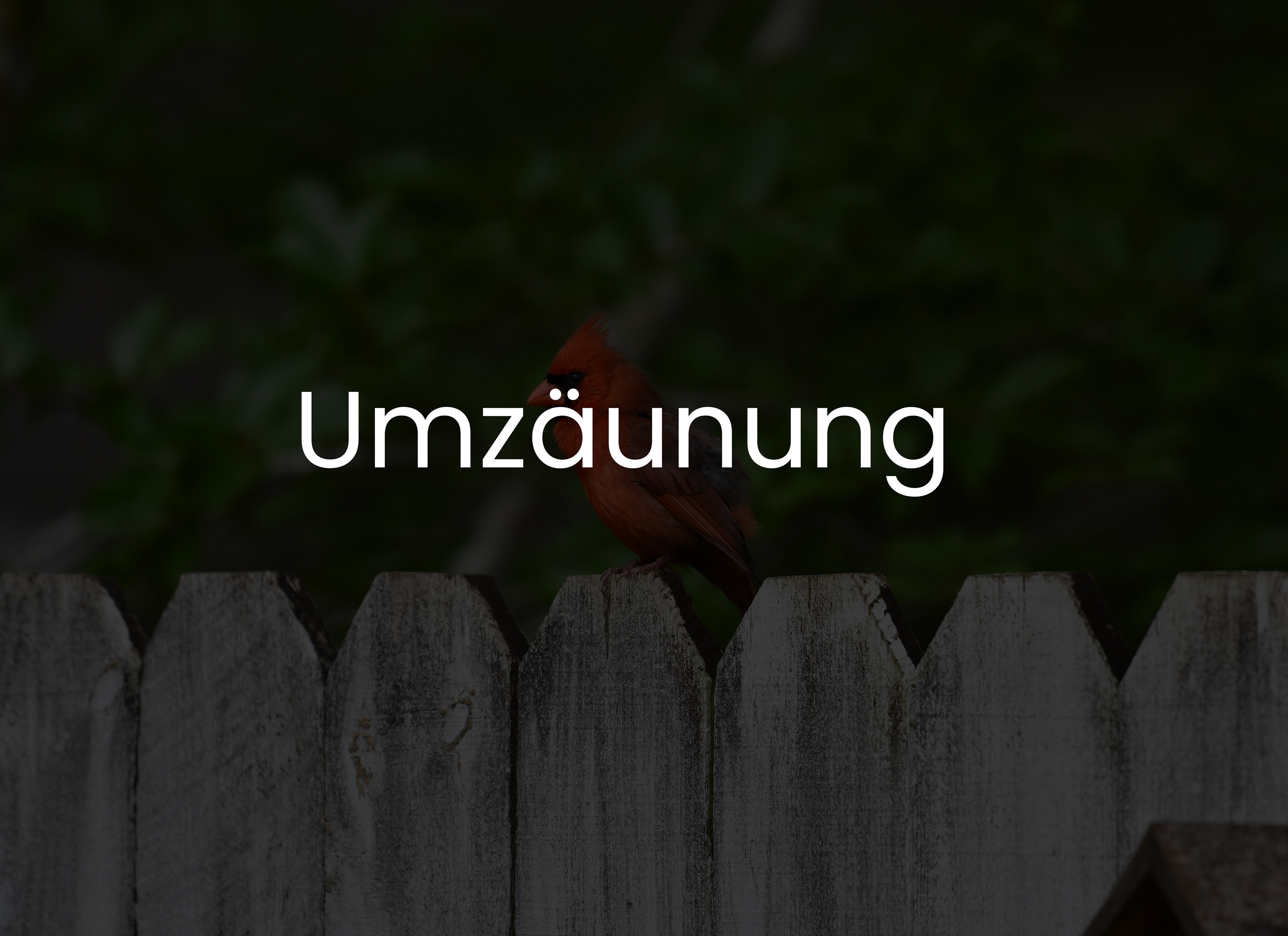Bevor Sie in einen neuen Zaun investieren, müssen Sie sich überlegen, weclhen Zweck er erfüllen soll.