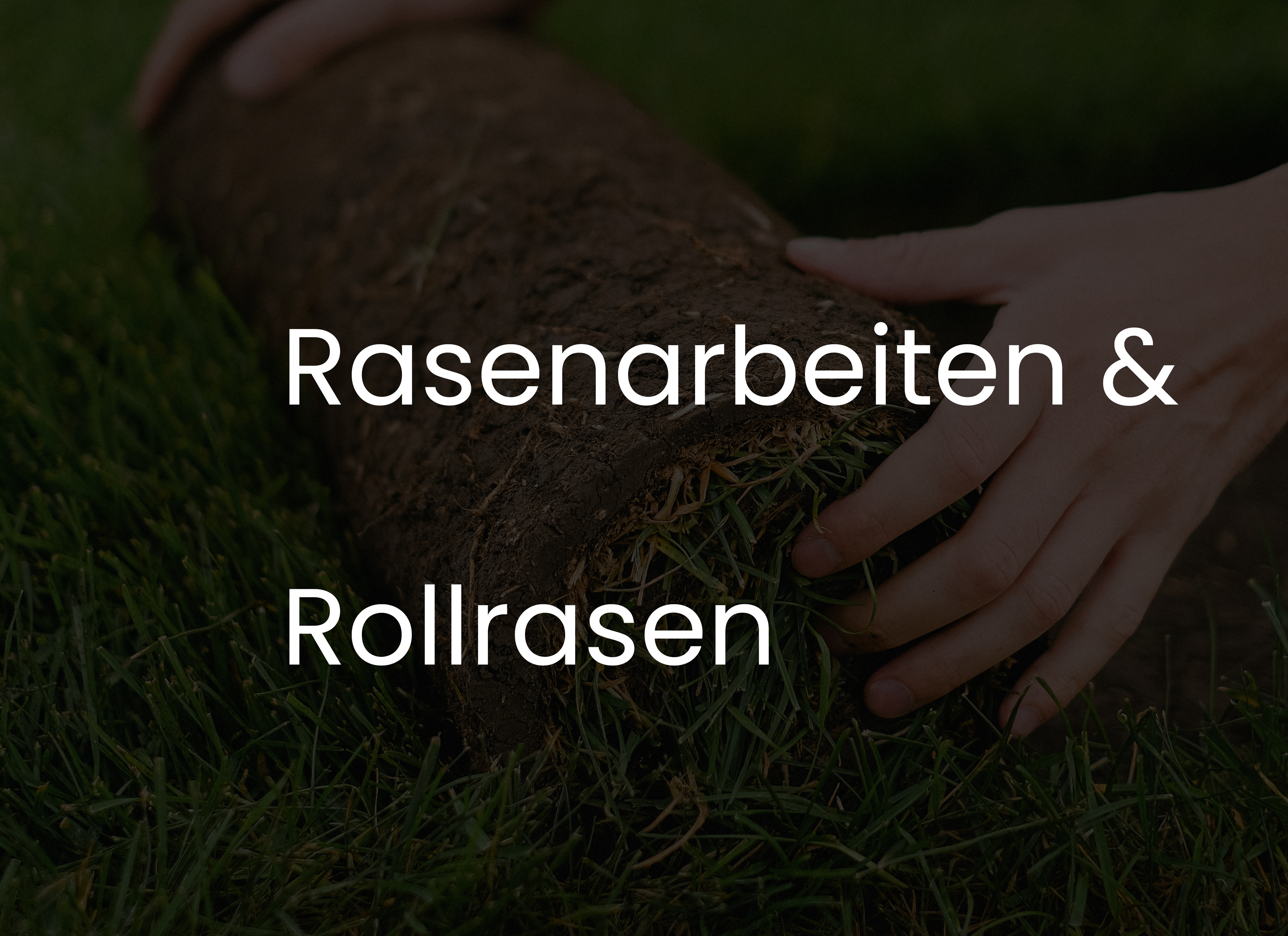 Rasenflächen sind heute ein festes Gestaltungselement in nahezu jedem Garten oder Park.