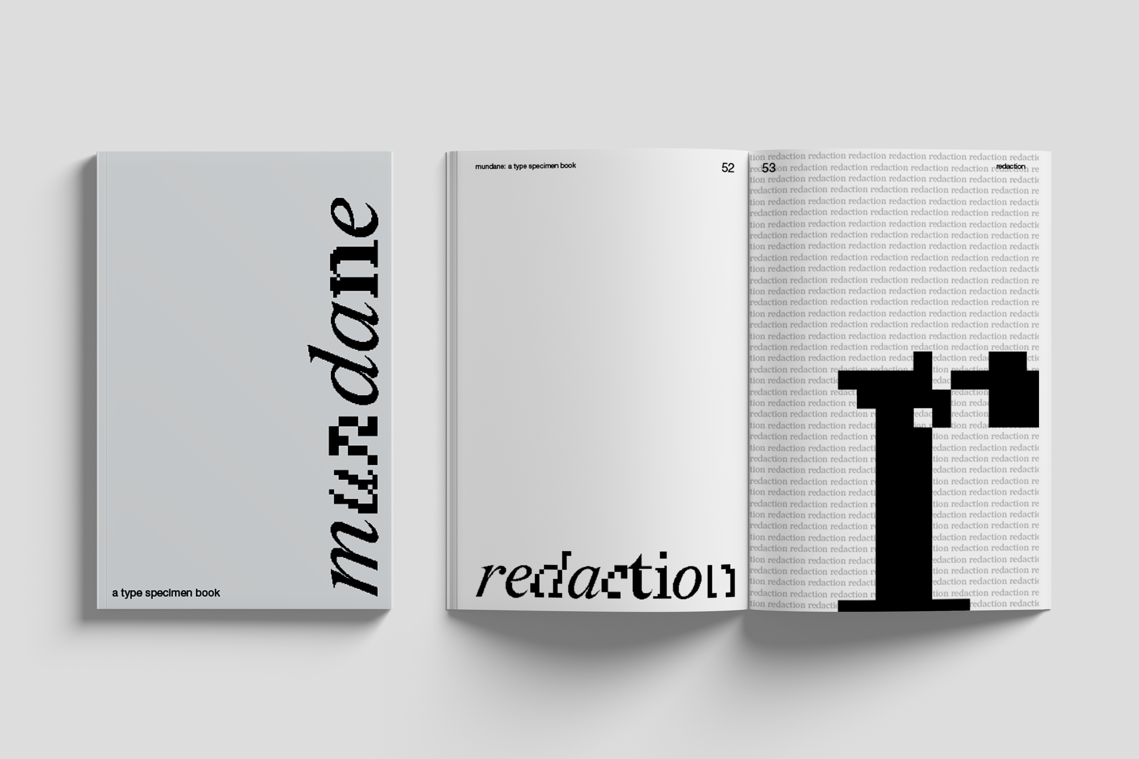 Redaction section header
