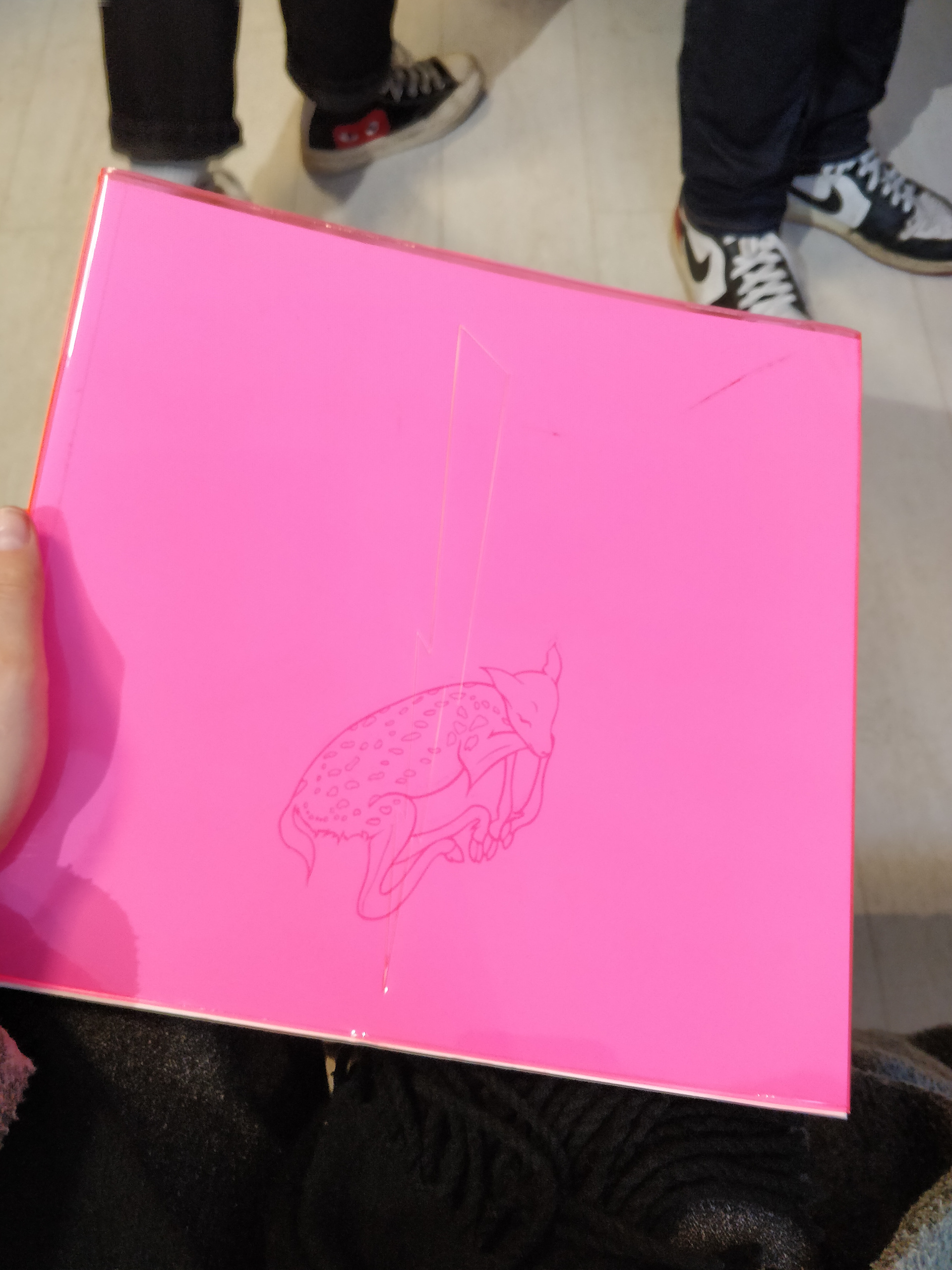 Pinkki rokkaa