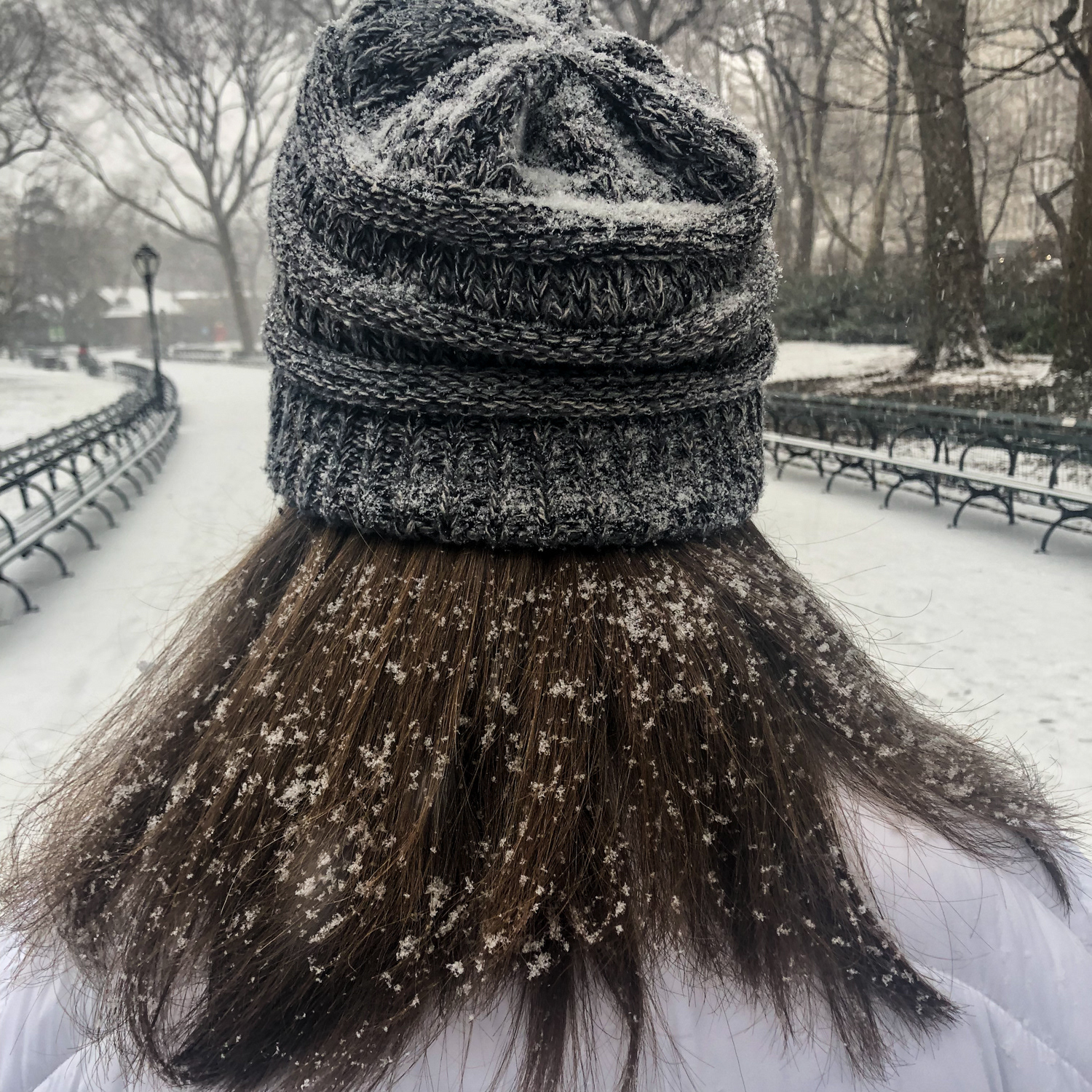 NCY Park