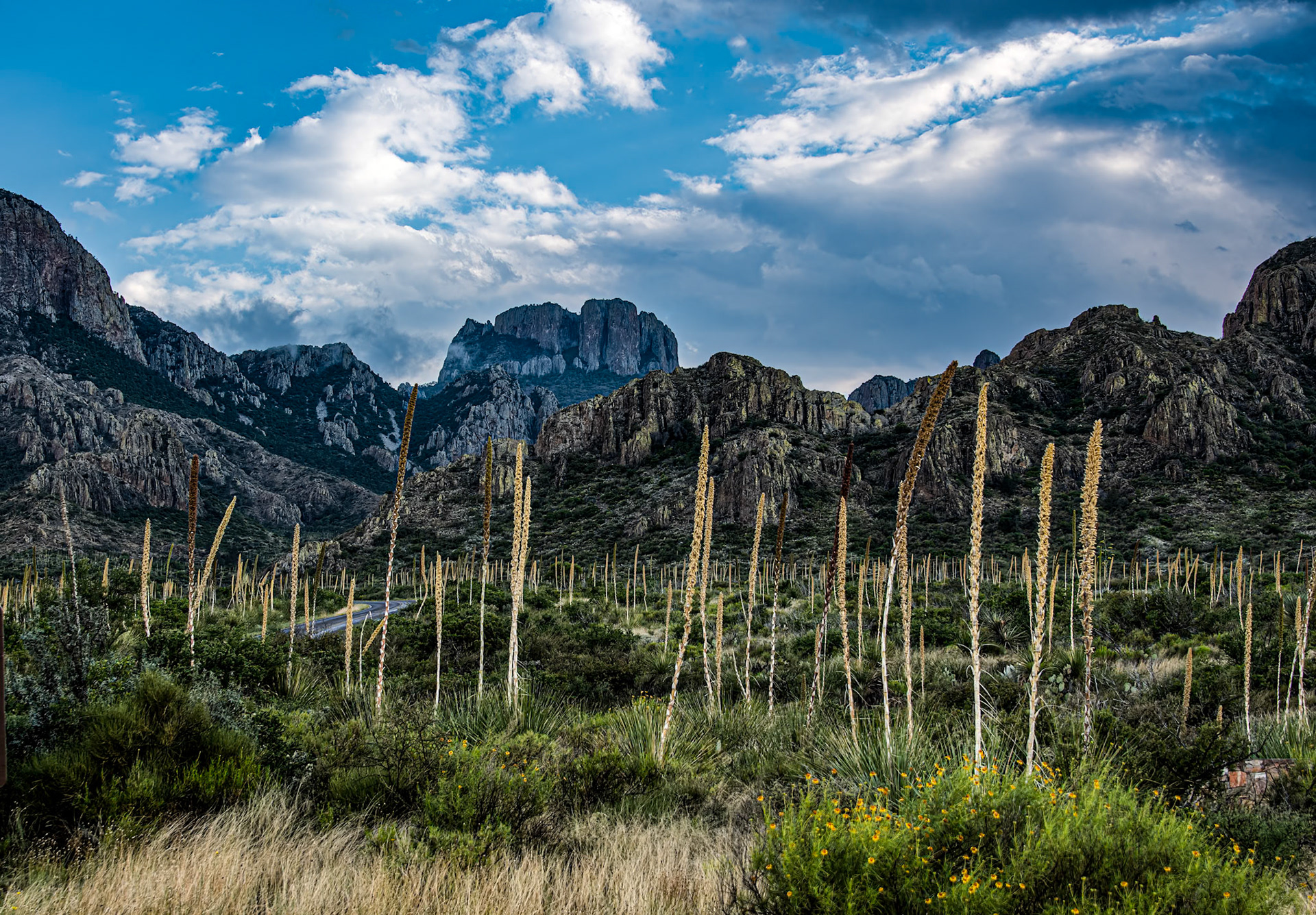 Chisos Mountains