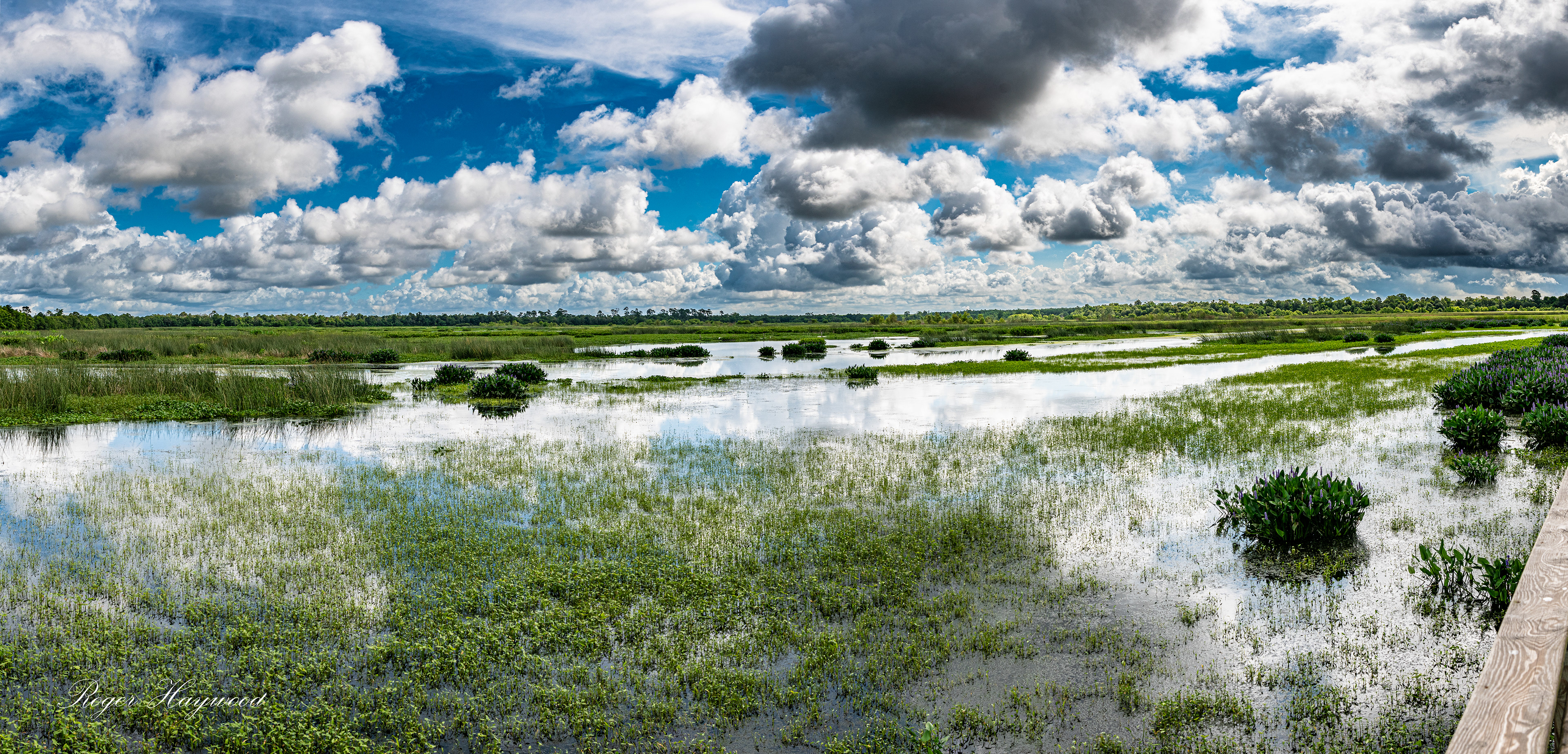 Tyrrell Park Beaumont, TX
