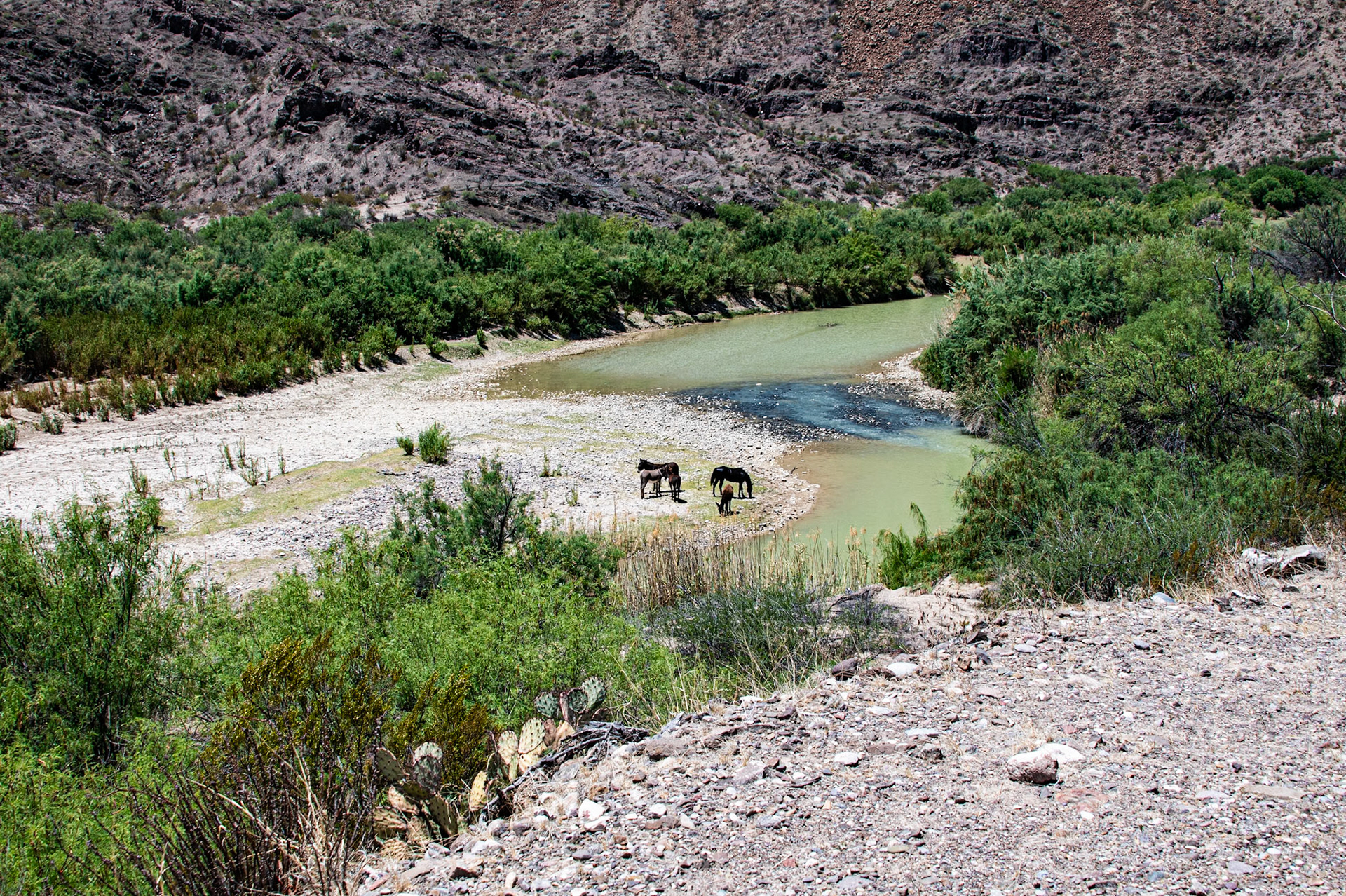Rio Grande