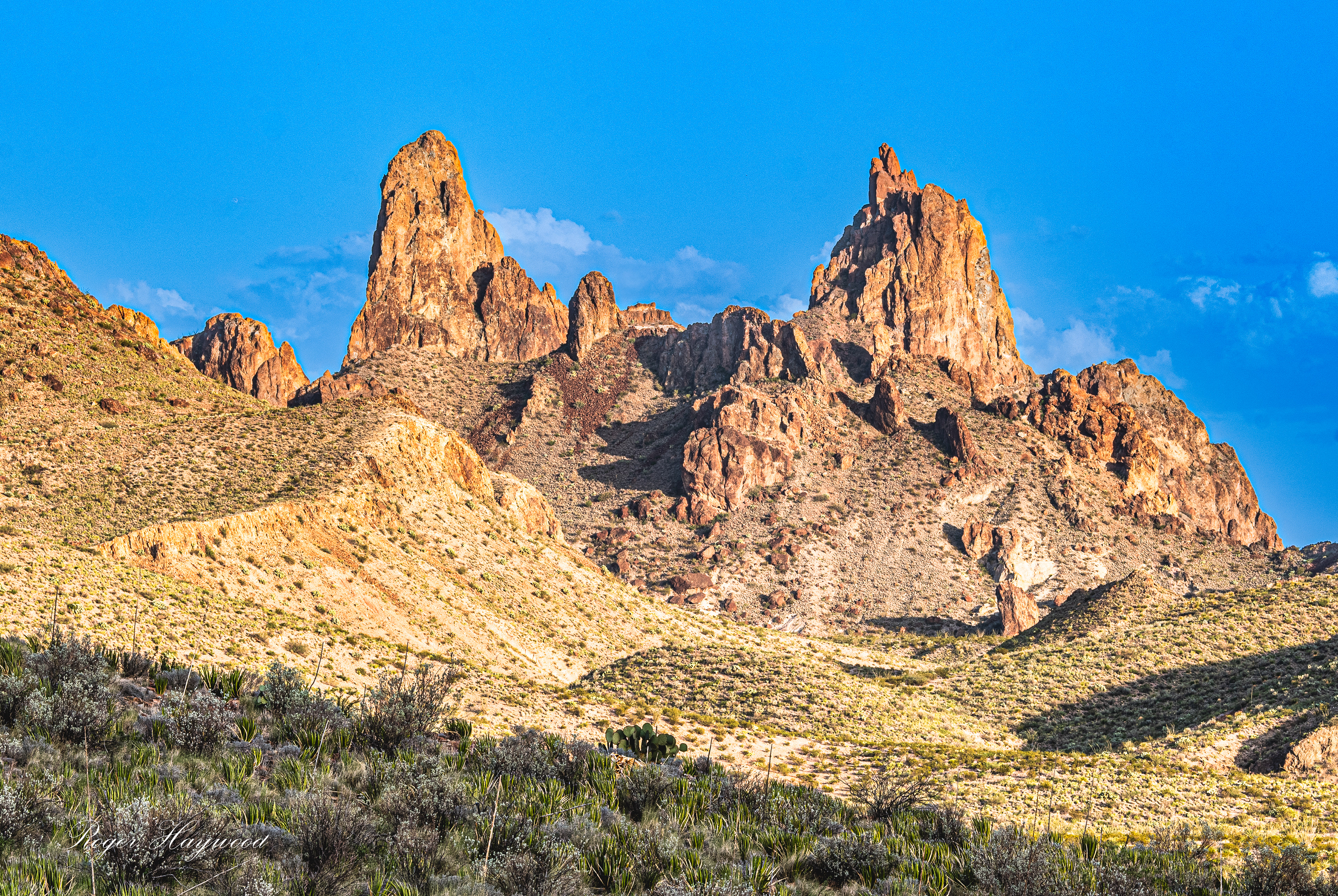 The Mule Ears