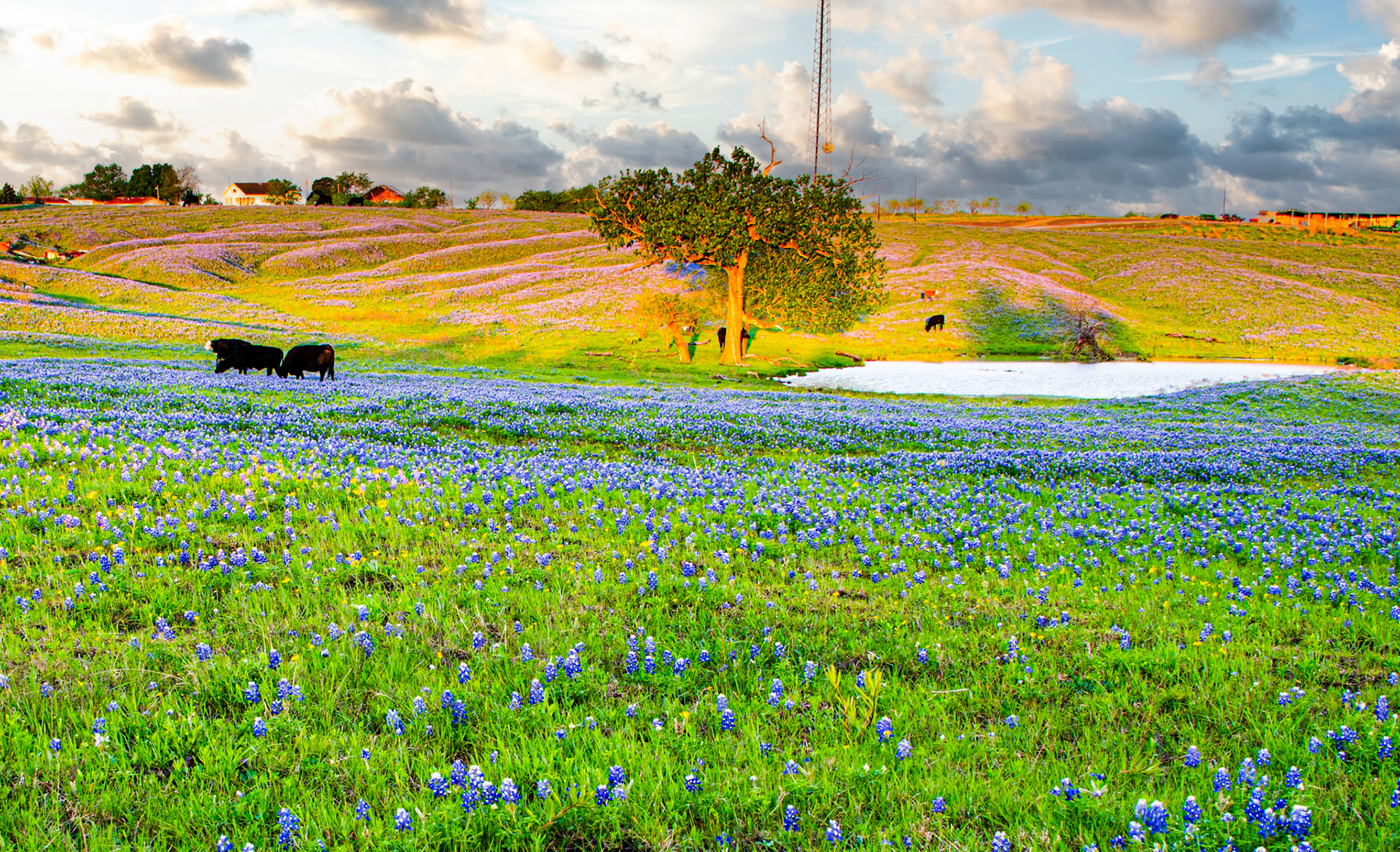 Ennis, Texas