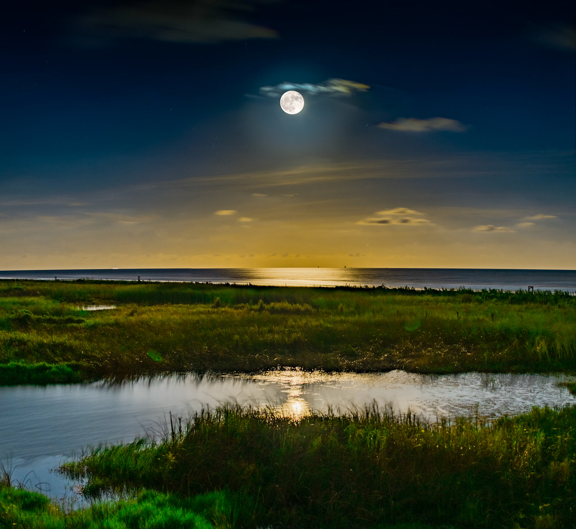Sea Rim State Park