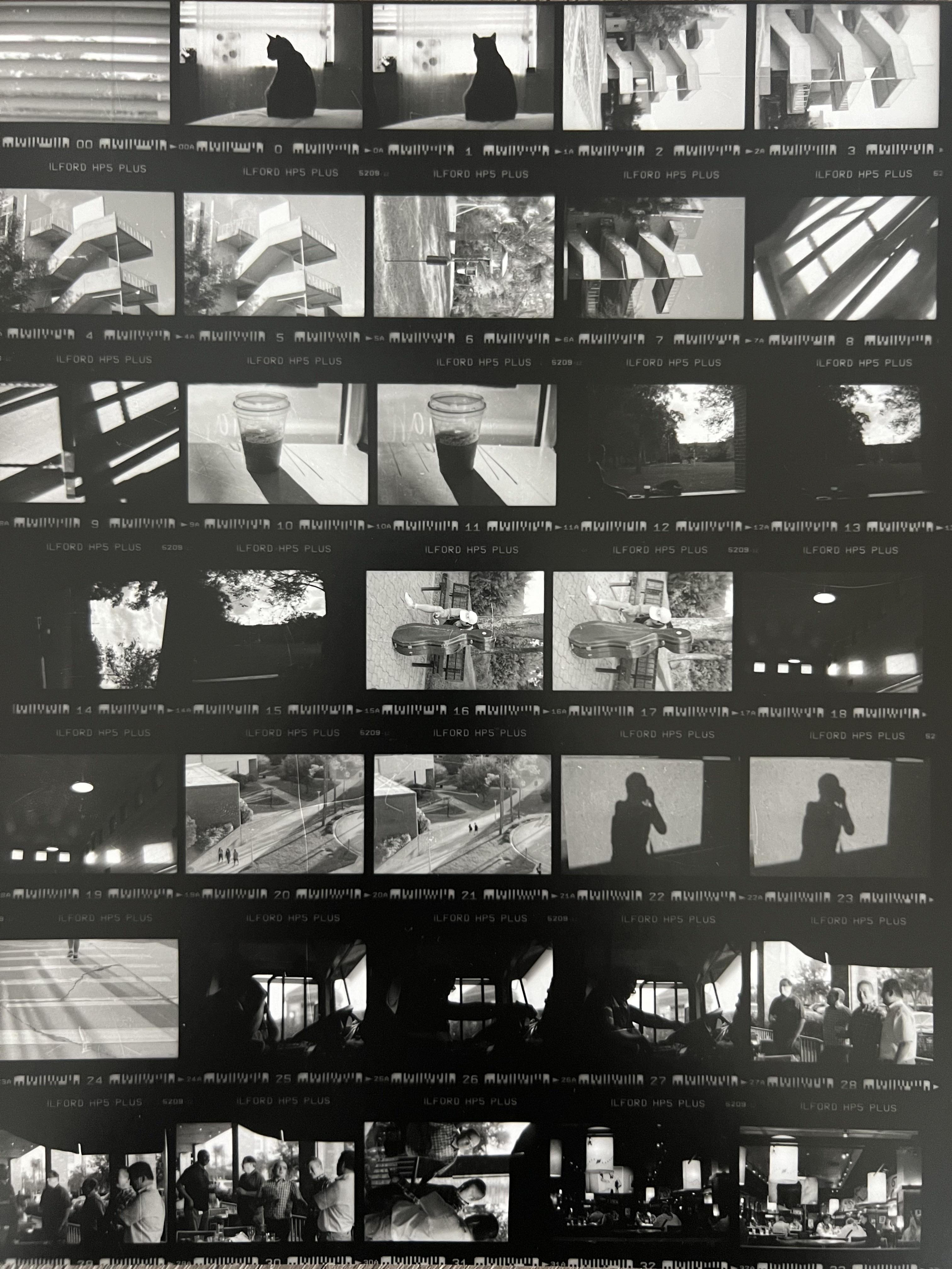 35mm film contact sheets on 8x10 Ilford Multigrade RC