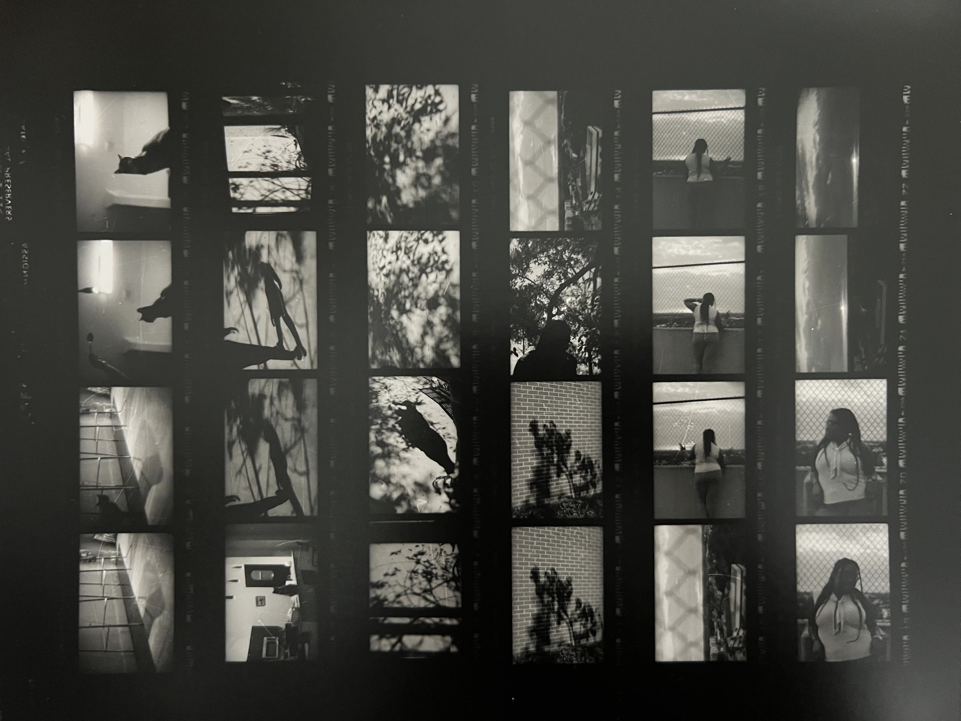 35mm film contact sheets on 8x10 Ilford Multigrade RC