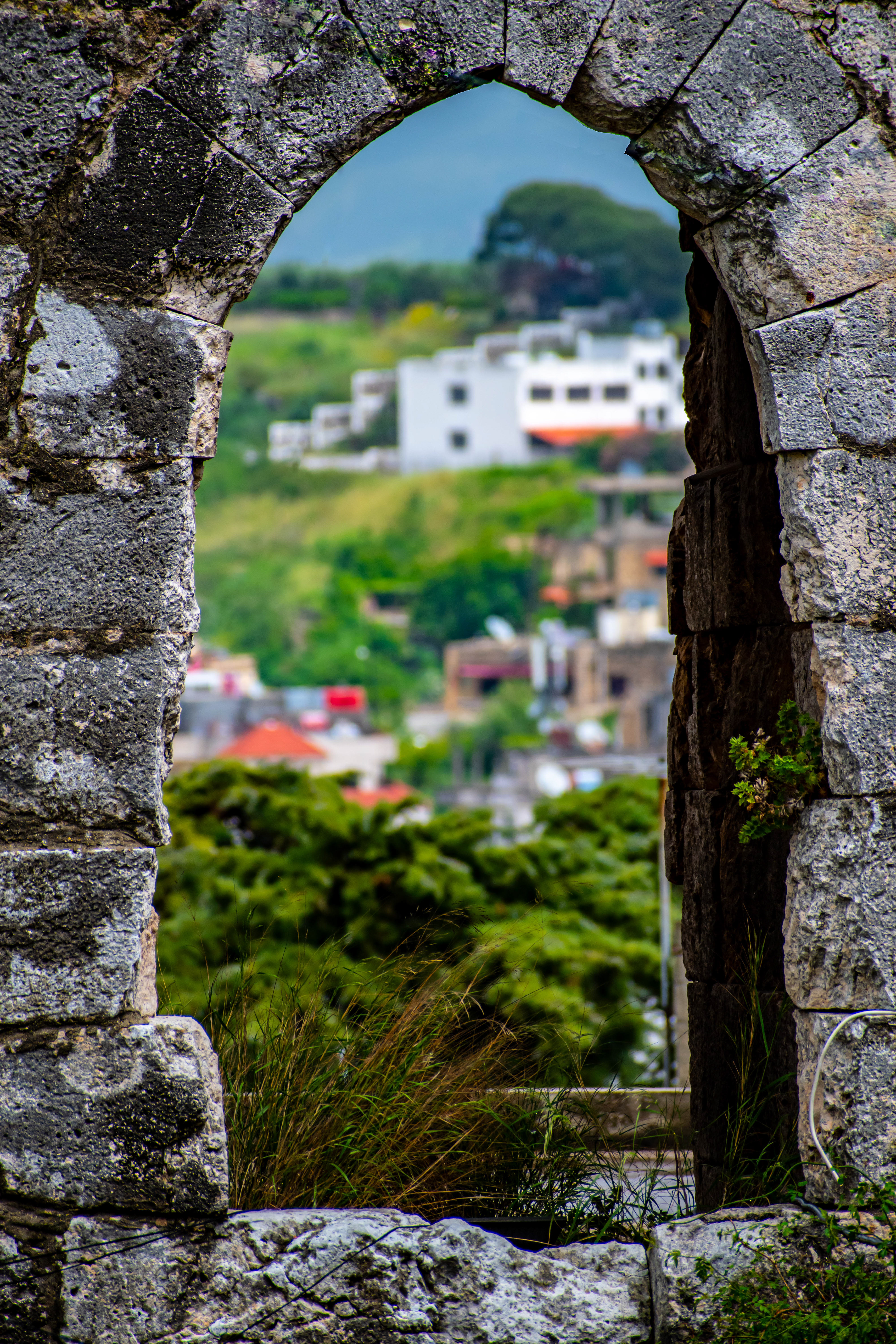 Through the Stone Arch: A Harmonious Blend of Nature and Urban Beauty