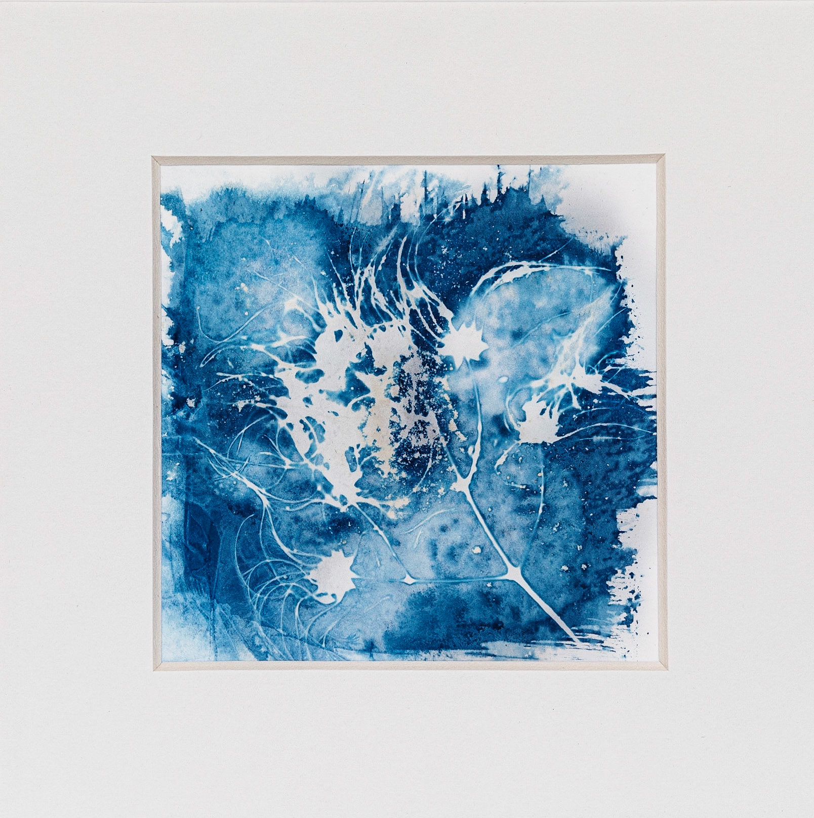 Kamperfoelie 2 10x10