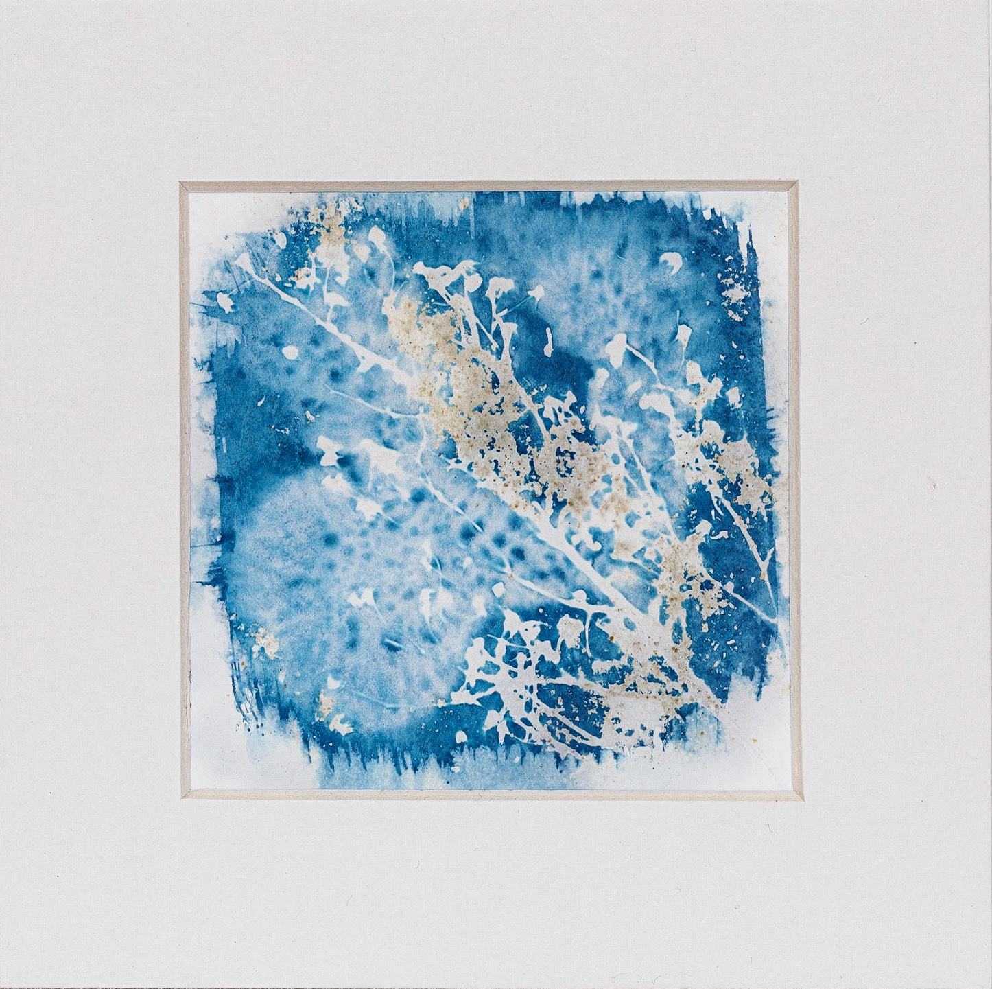 Cyanotypie  1 met schuim