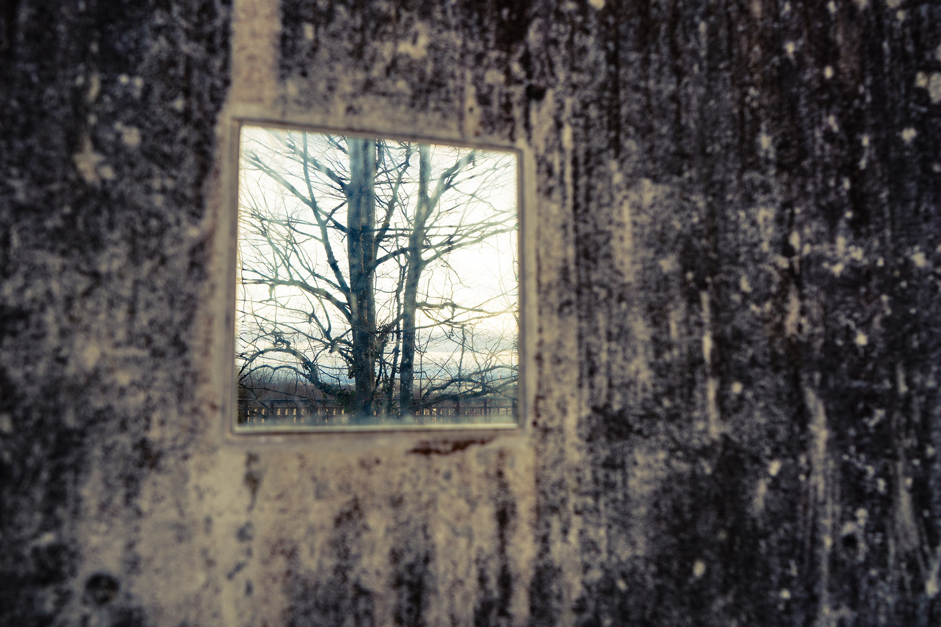 weitsicht