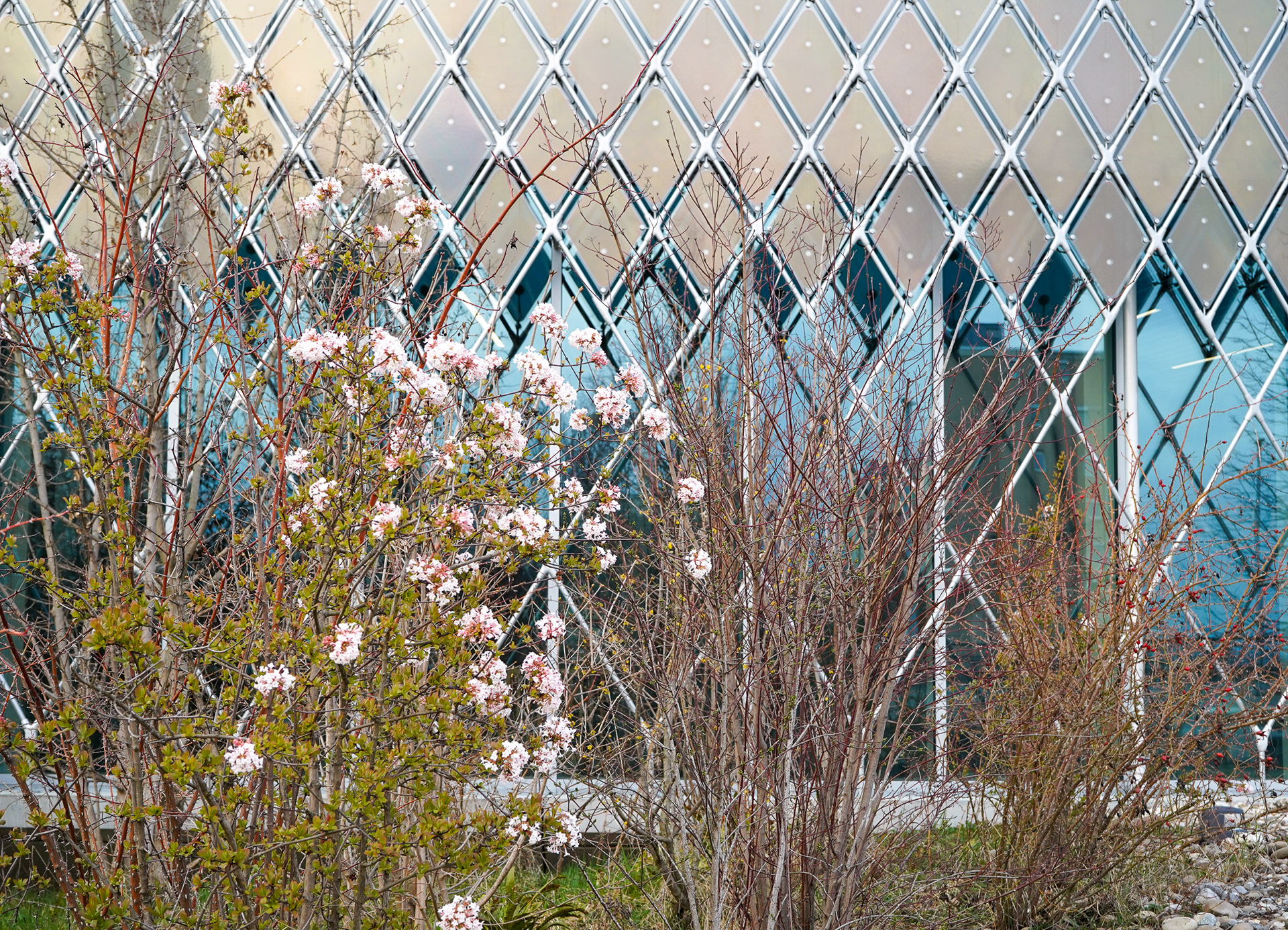 pavillion