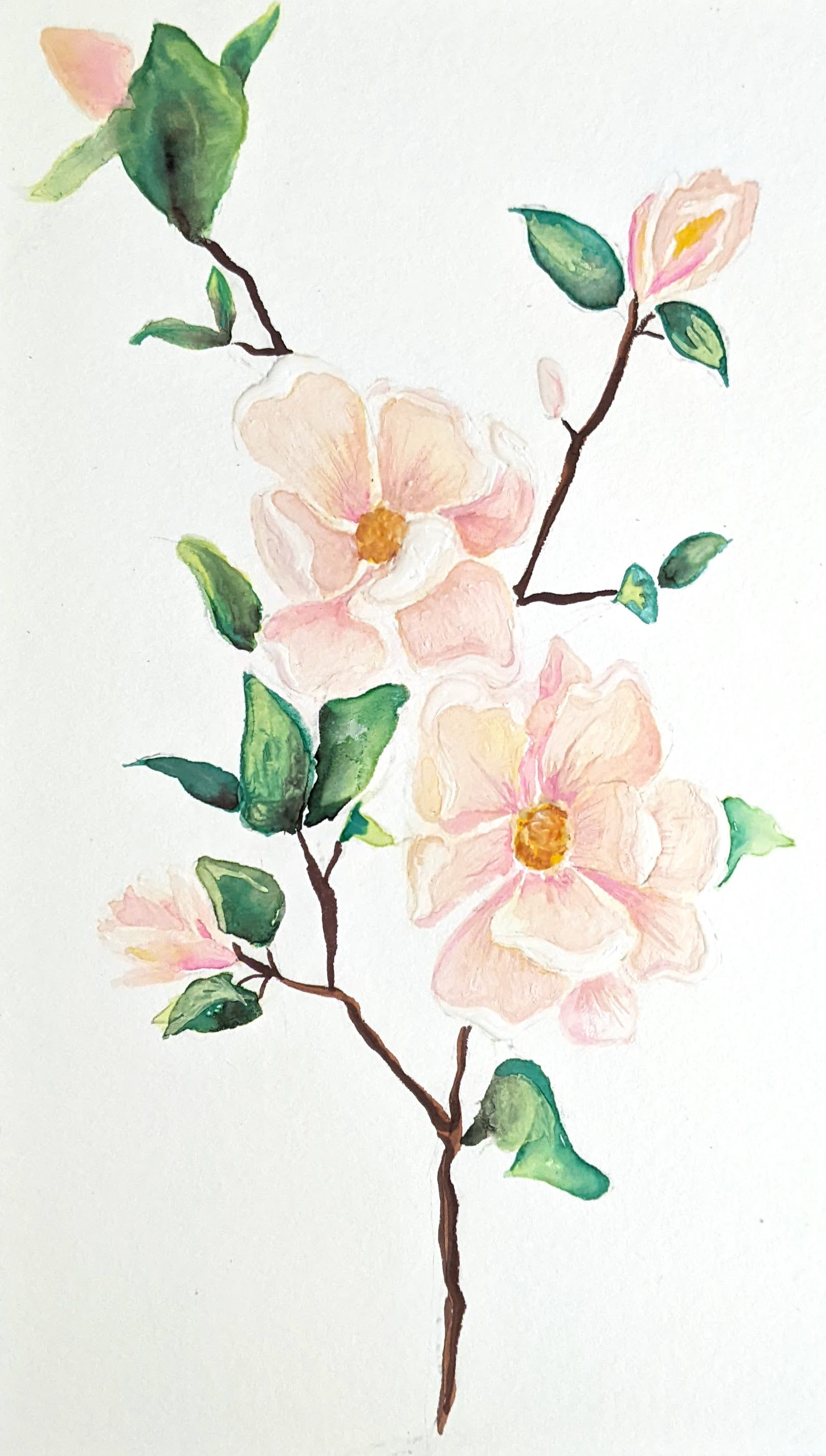 Magnolias (first draft)