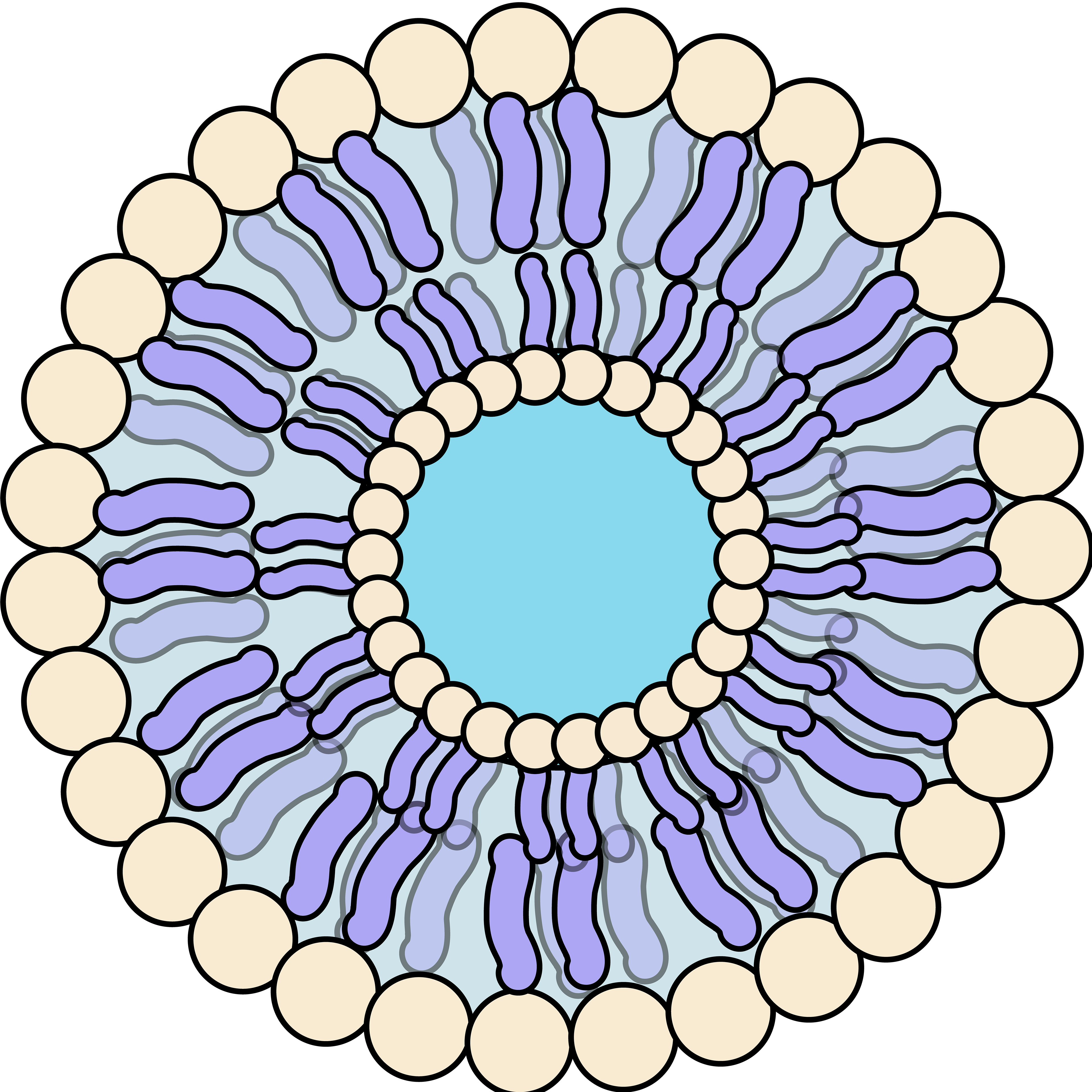 Liposome