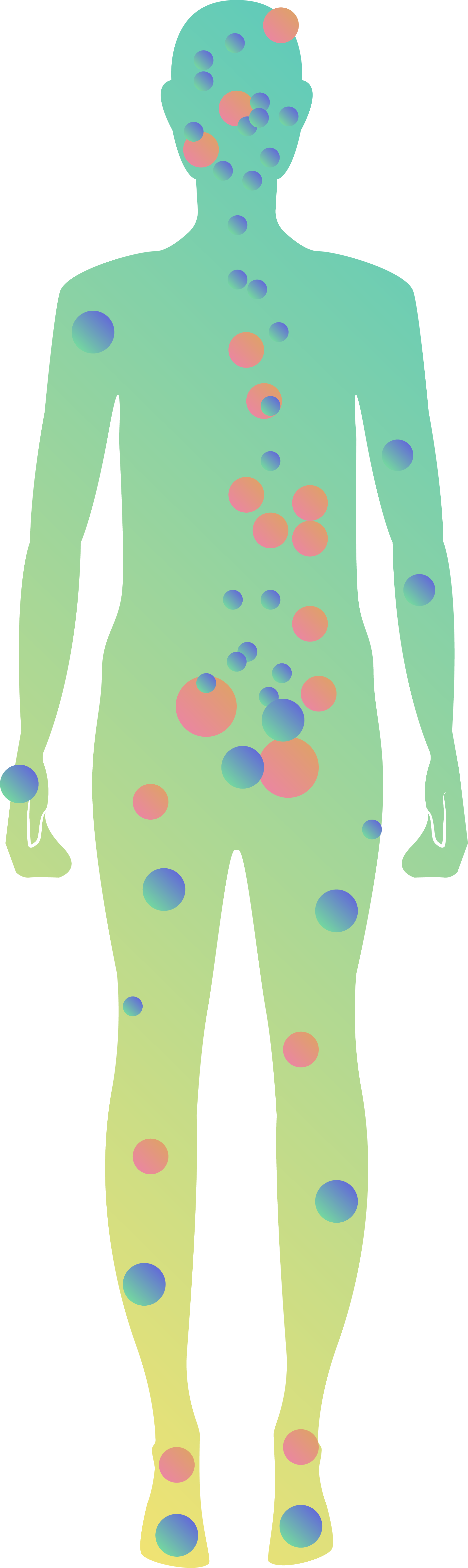 Endocannabinoid System