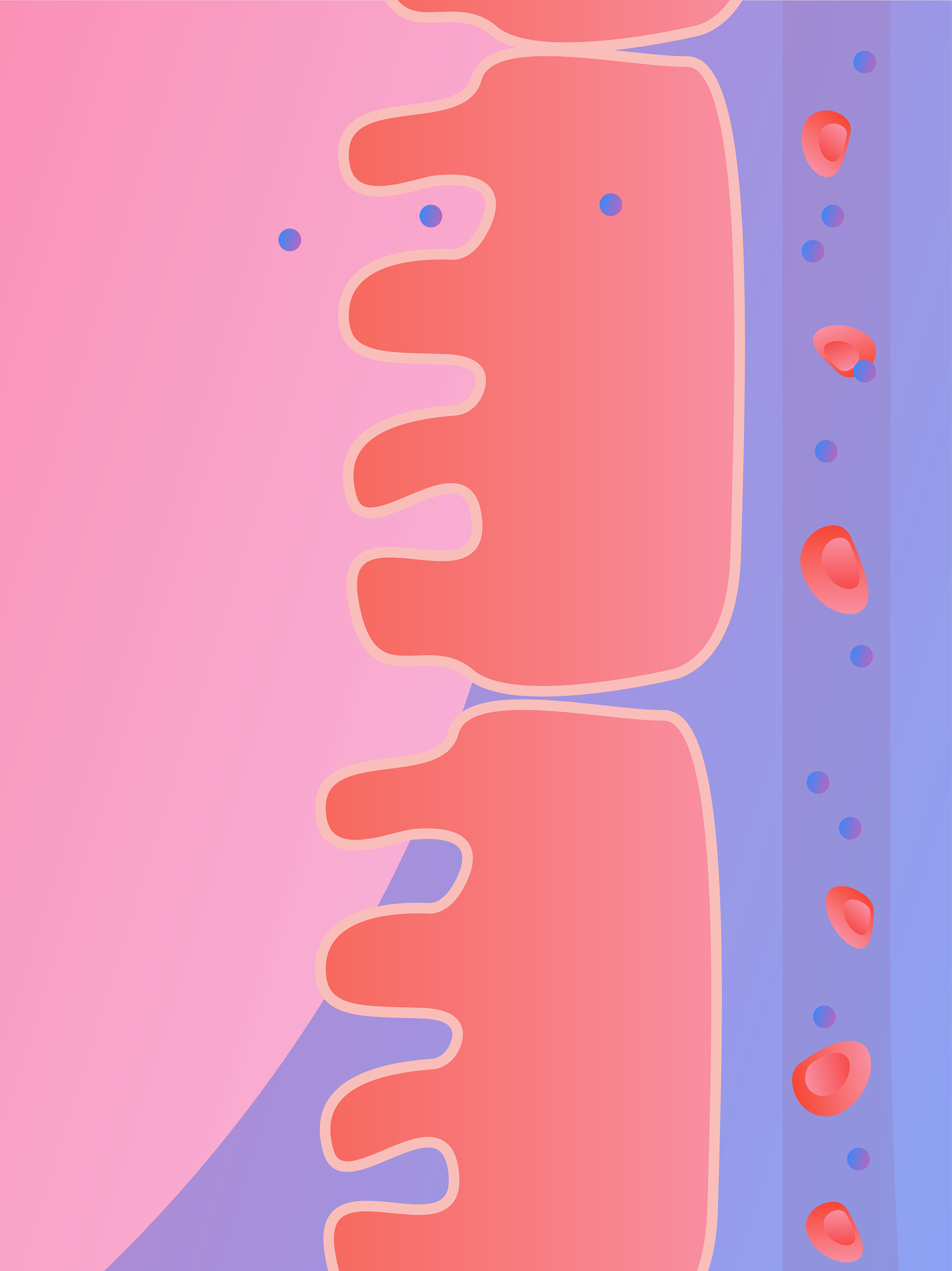 Nutrient Absorption