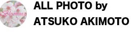 ATSUKO AKIMOTO