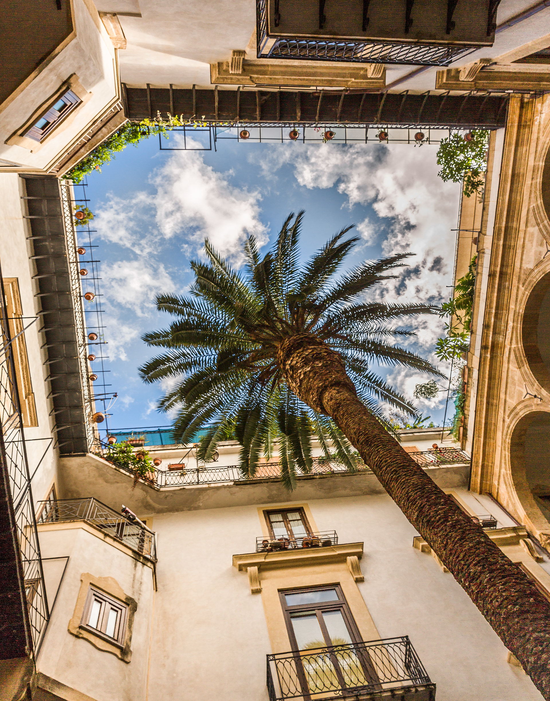 Palermo Atrium and Palm Tree Image# S09