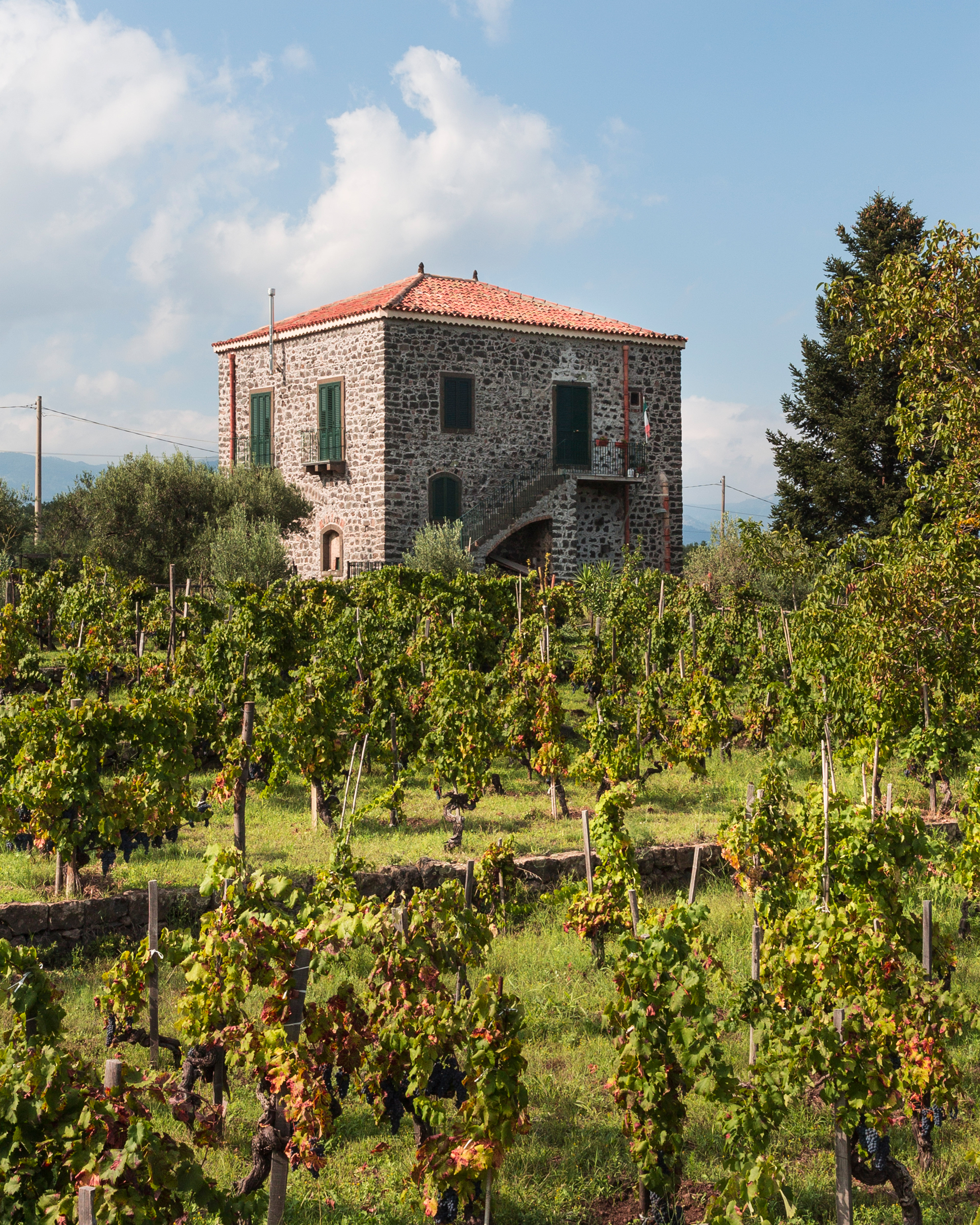 Mount Etna Vineyard and Barn Image# S04