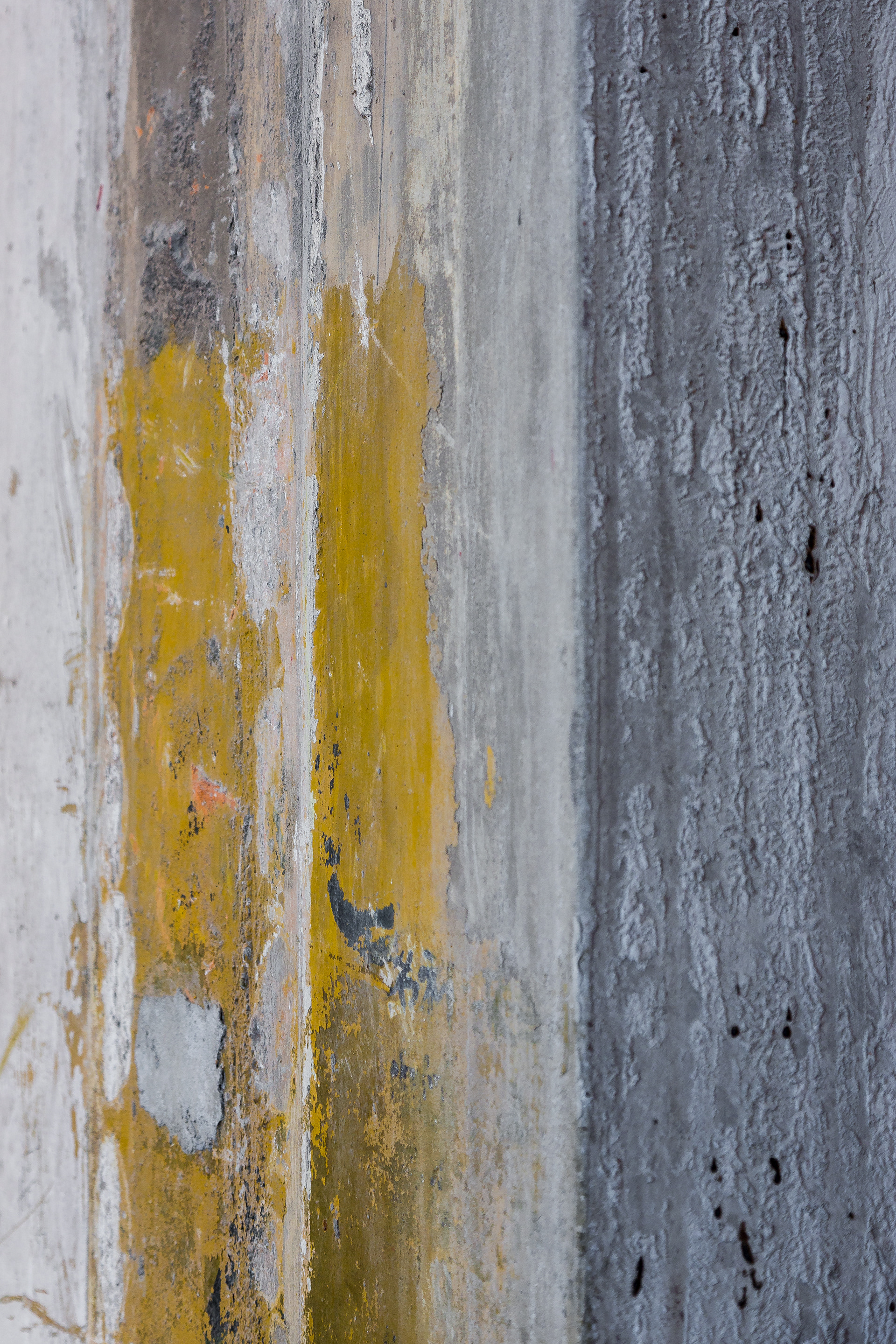 IMAGE# 02