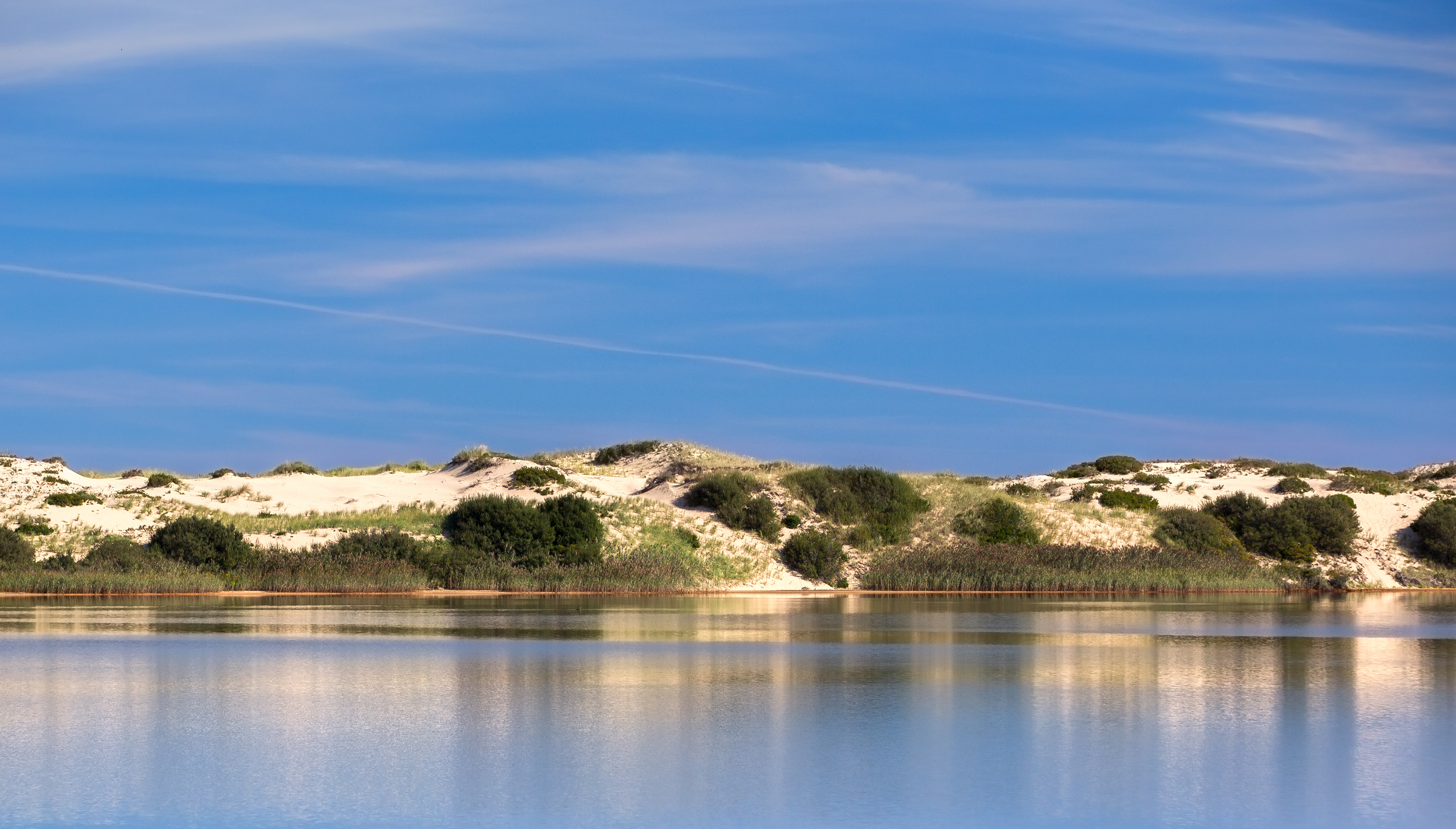 Provincetown Dunes Image# 03