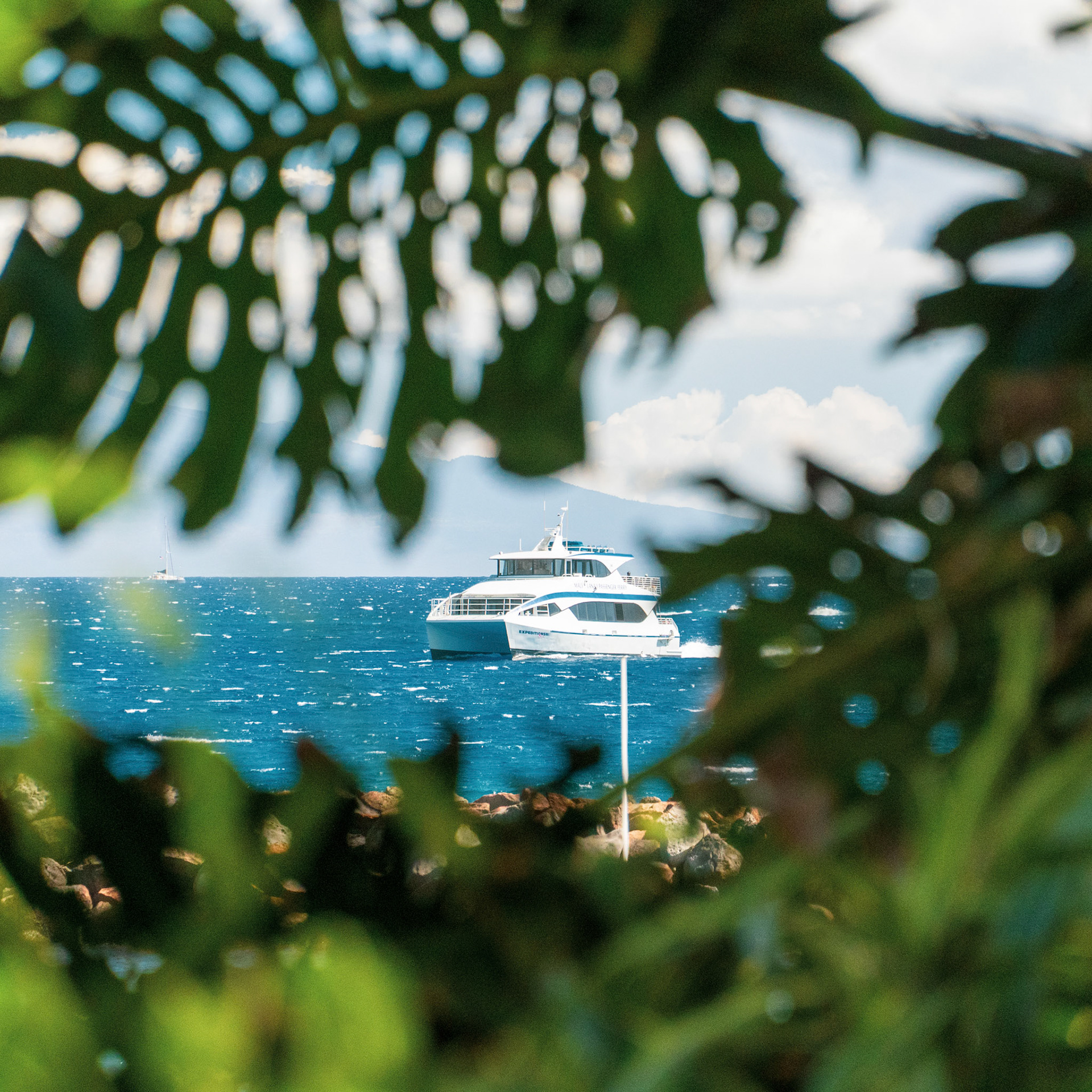 Uncle Larry's Lifeboat