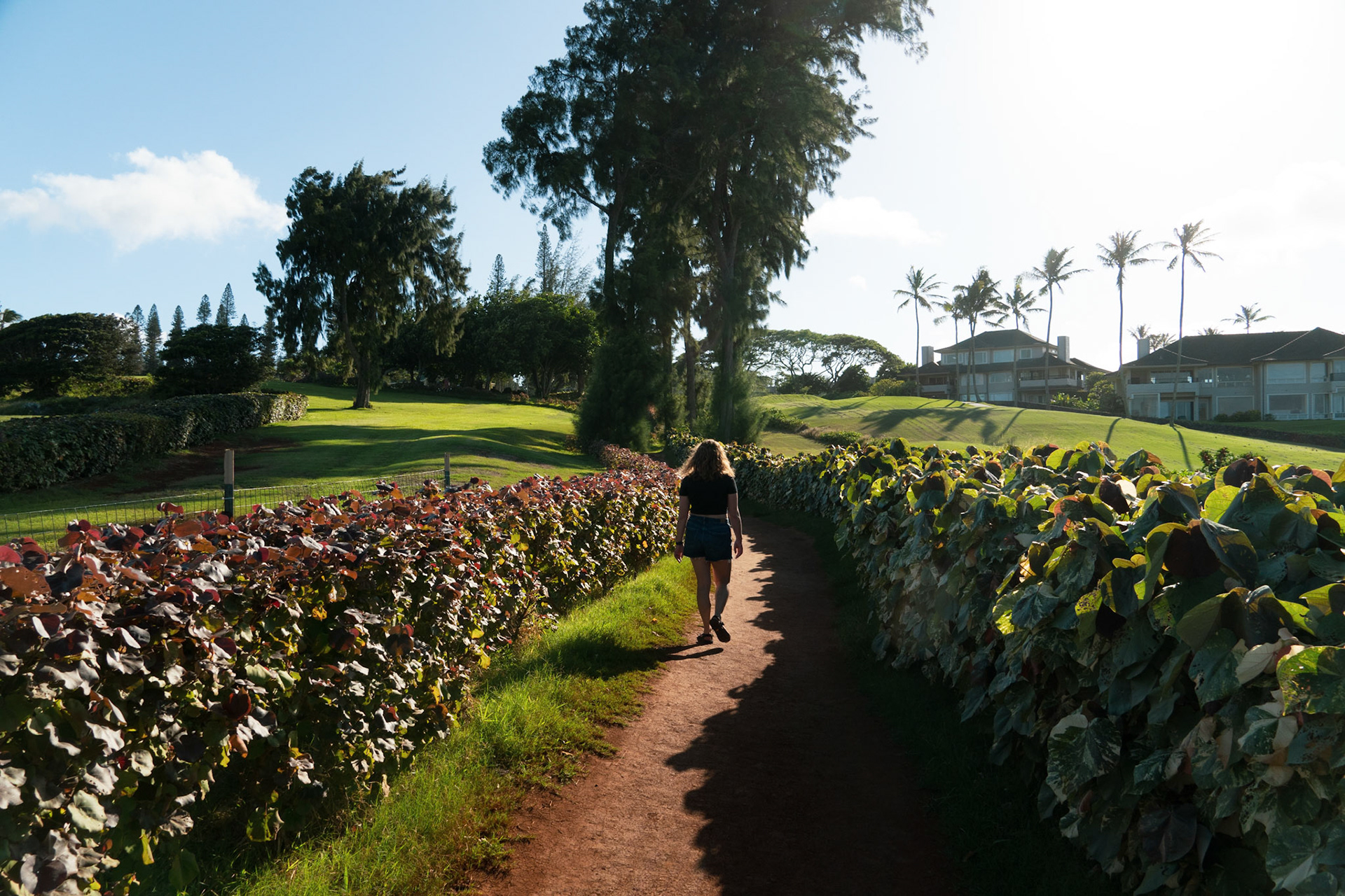A sacred burial ground on the left and a golf course on the right