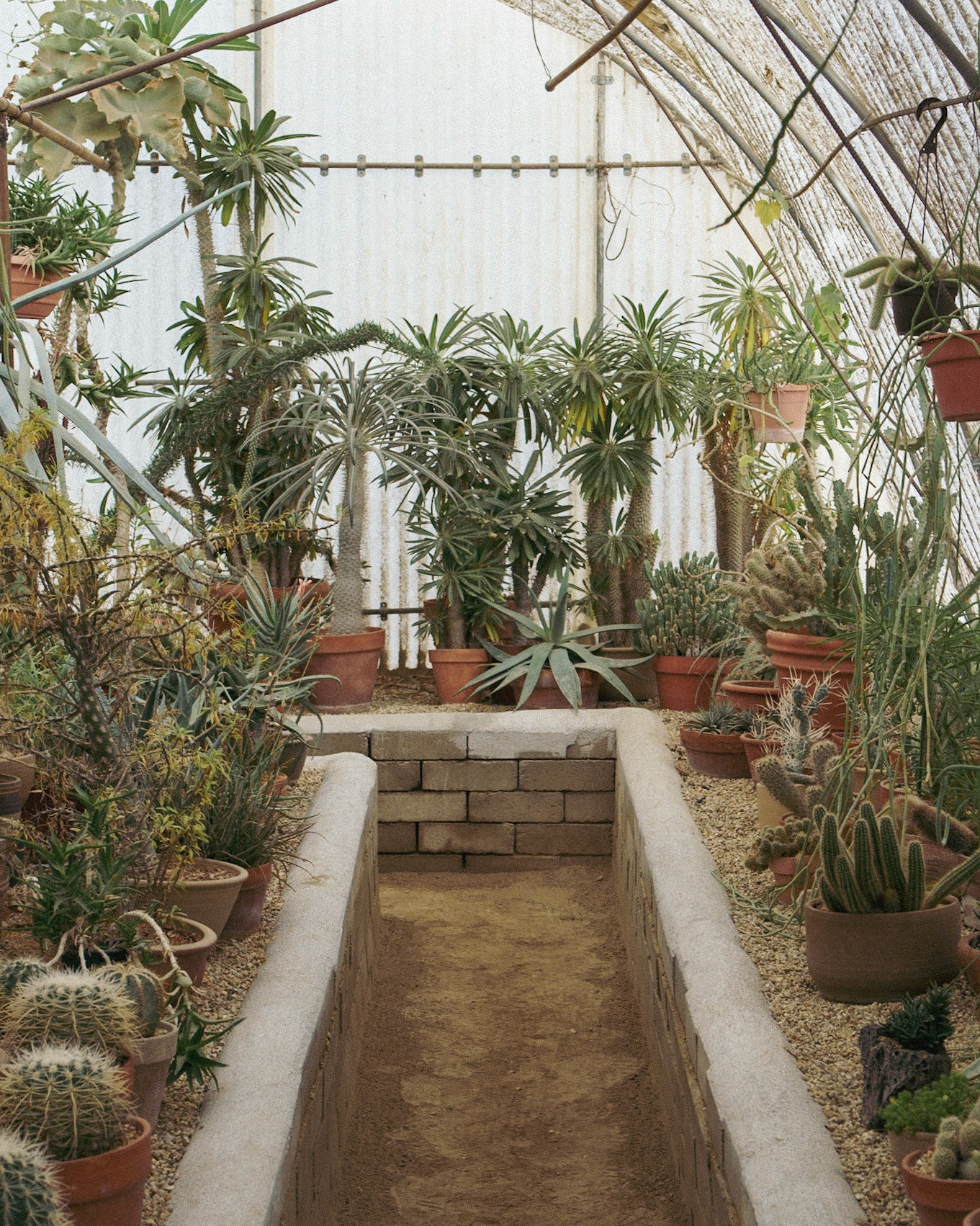Greenhouse