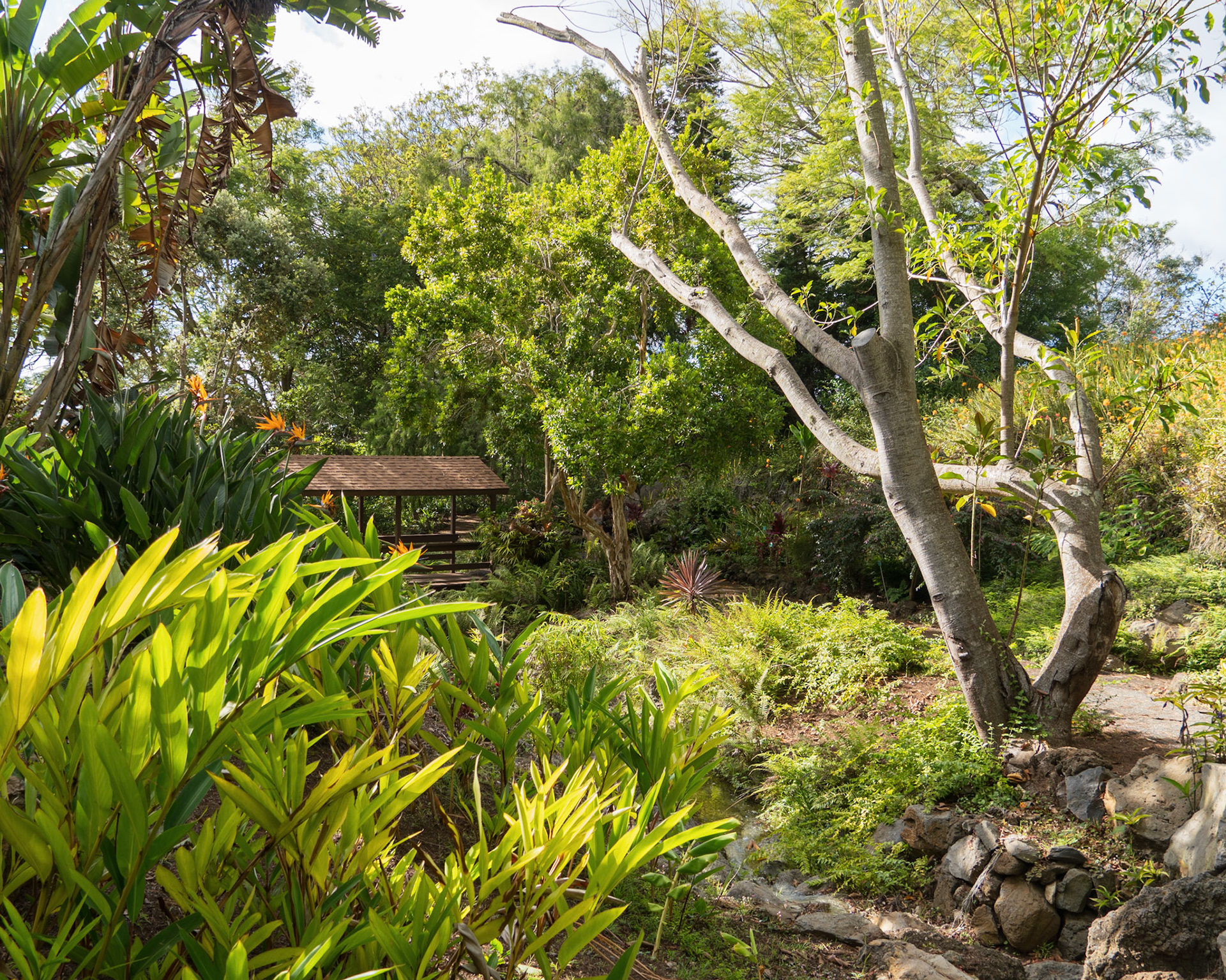 Kula Botanical Garden