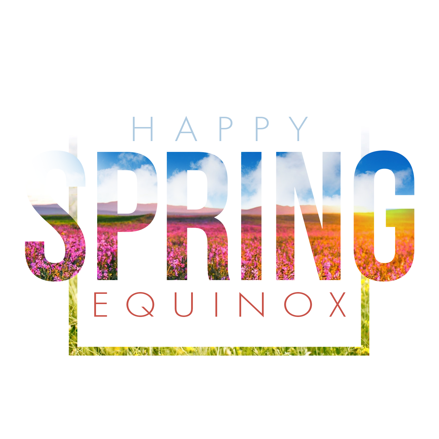 Spring Graphic
