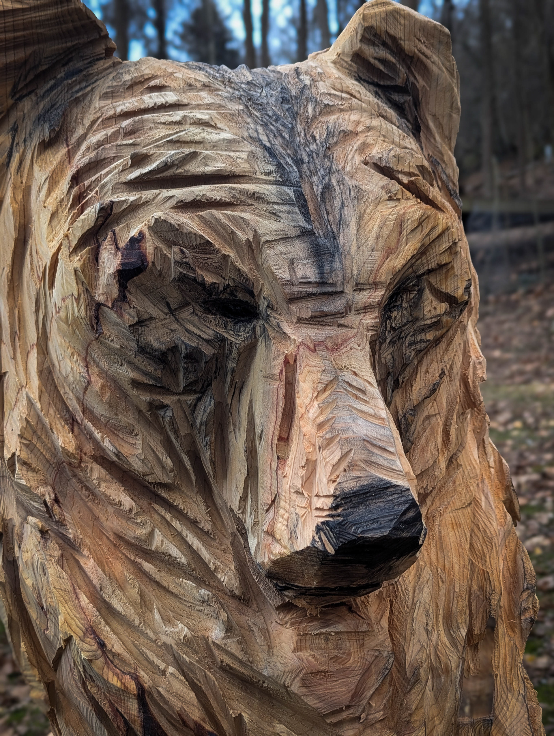 Sculpture à la tronçonneuse d'un ours 3