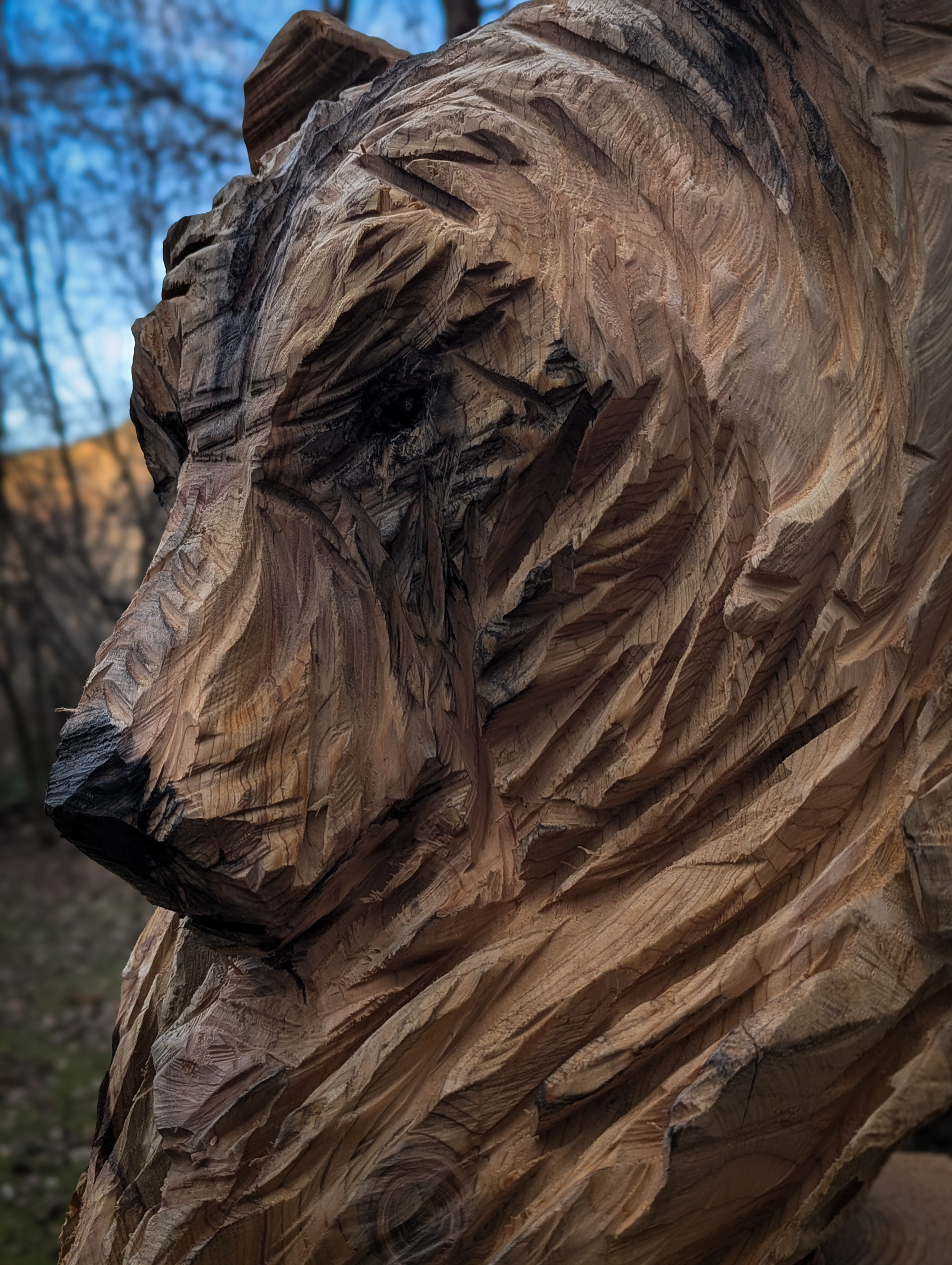 Sculpture à la tronçonneuse d'un ours 2