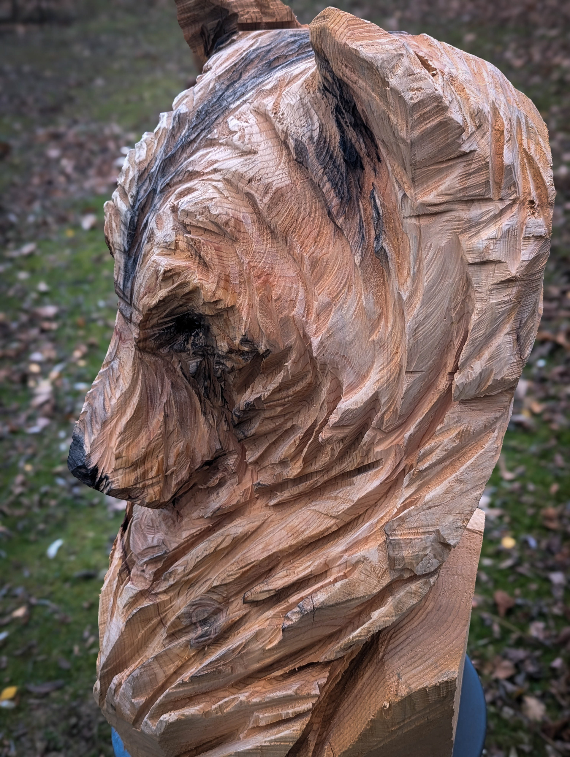 Sculpture à la tronçonneuse d'un ours 4