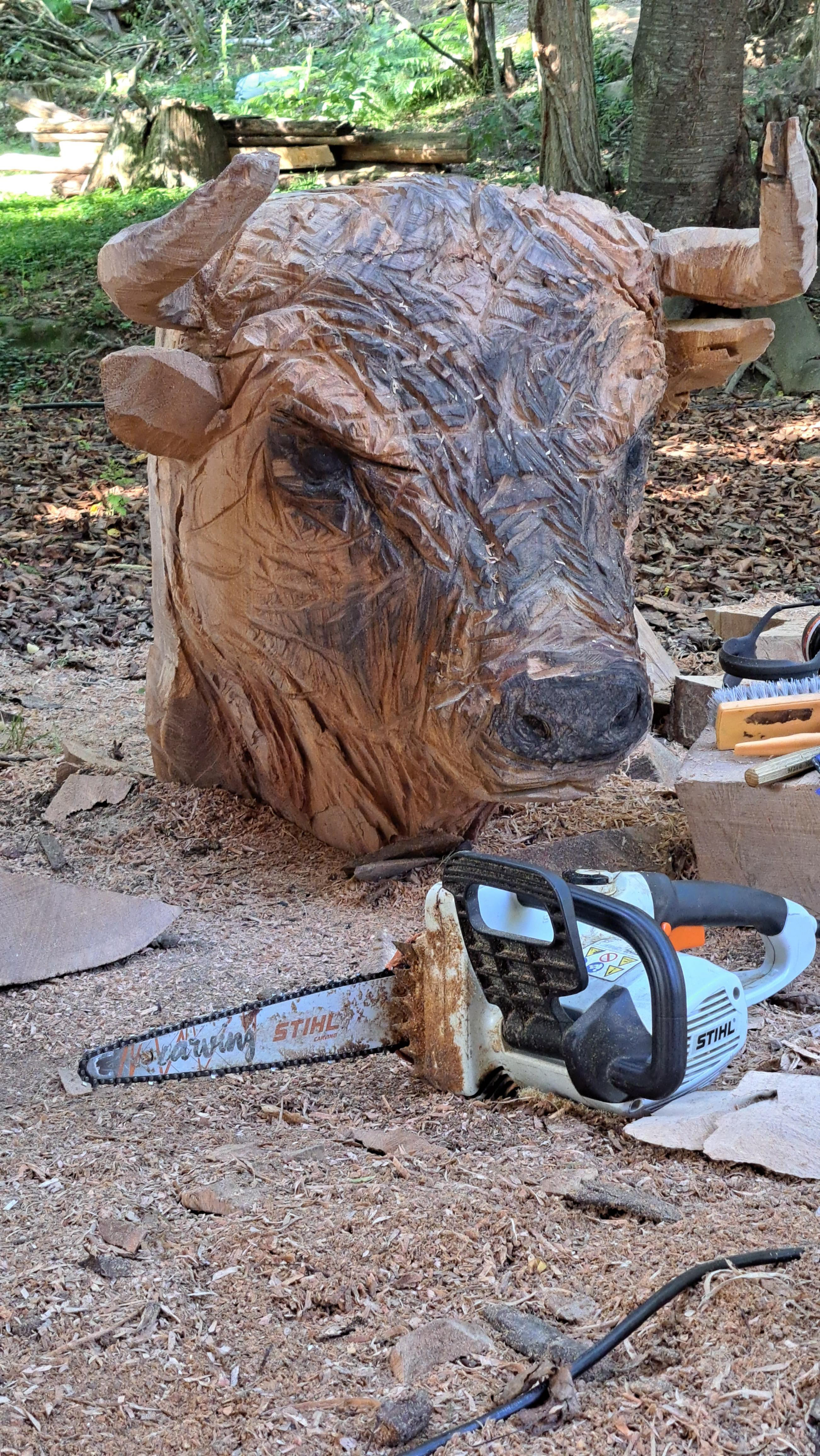 Taureau - En cours...